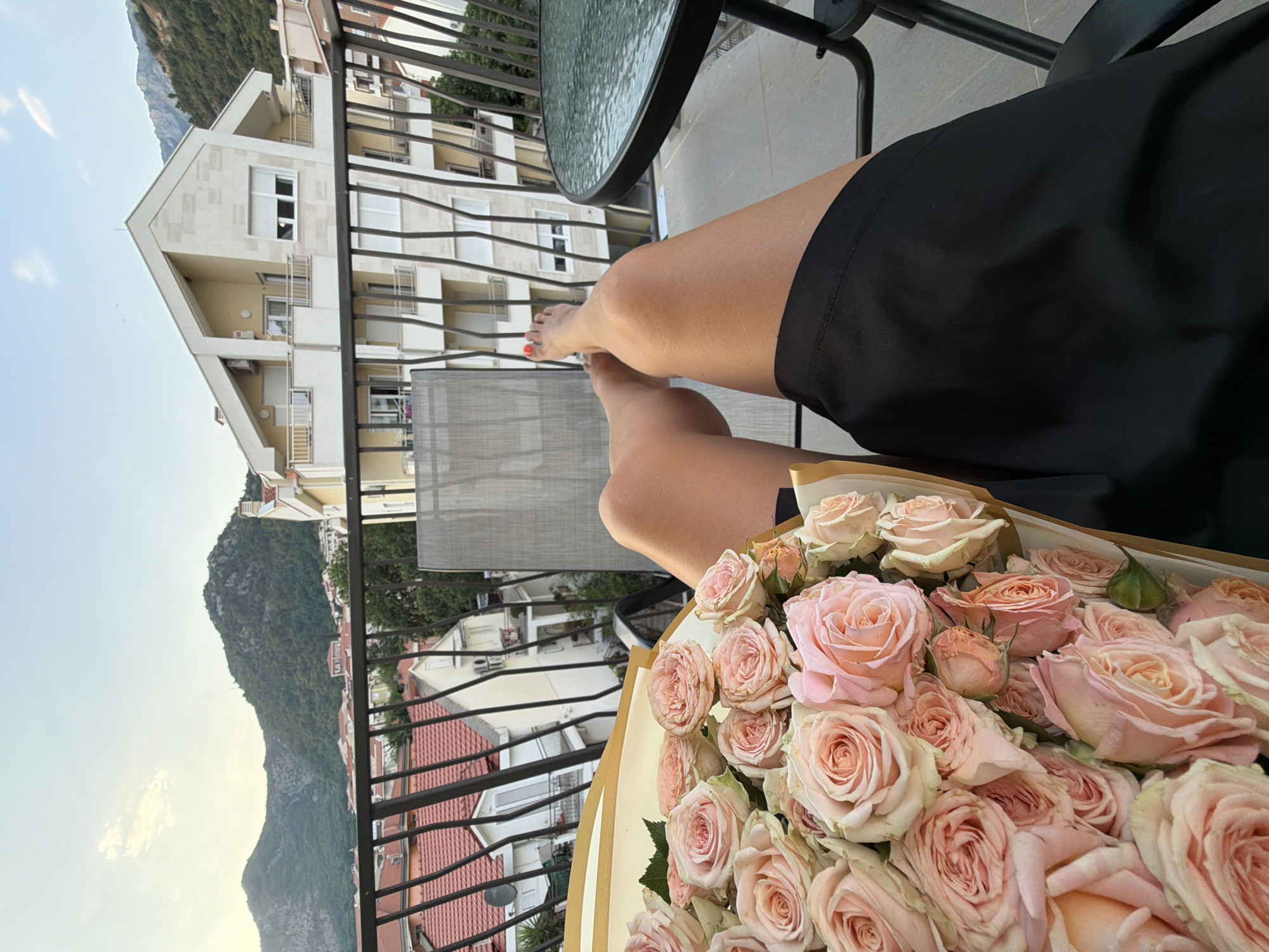 Cats, roses, and quiet streets in Budva on a June afternoon.