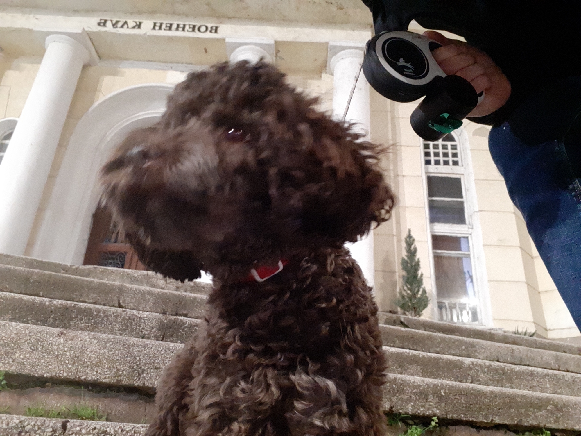 Late Night Dog Walk in Downtown Plovdiv