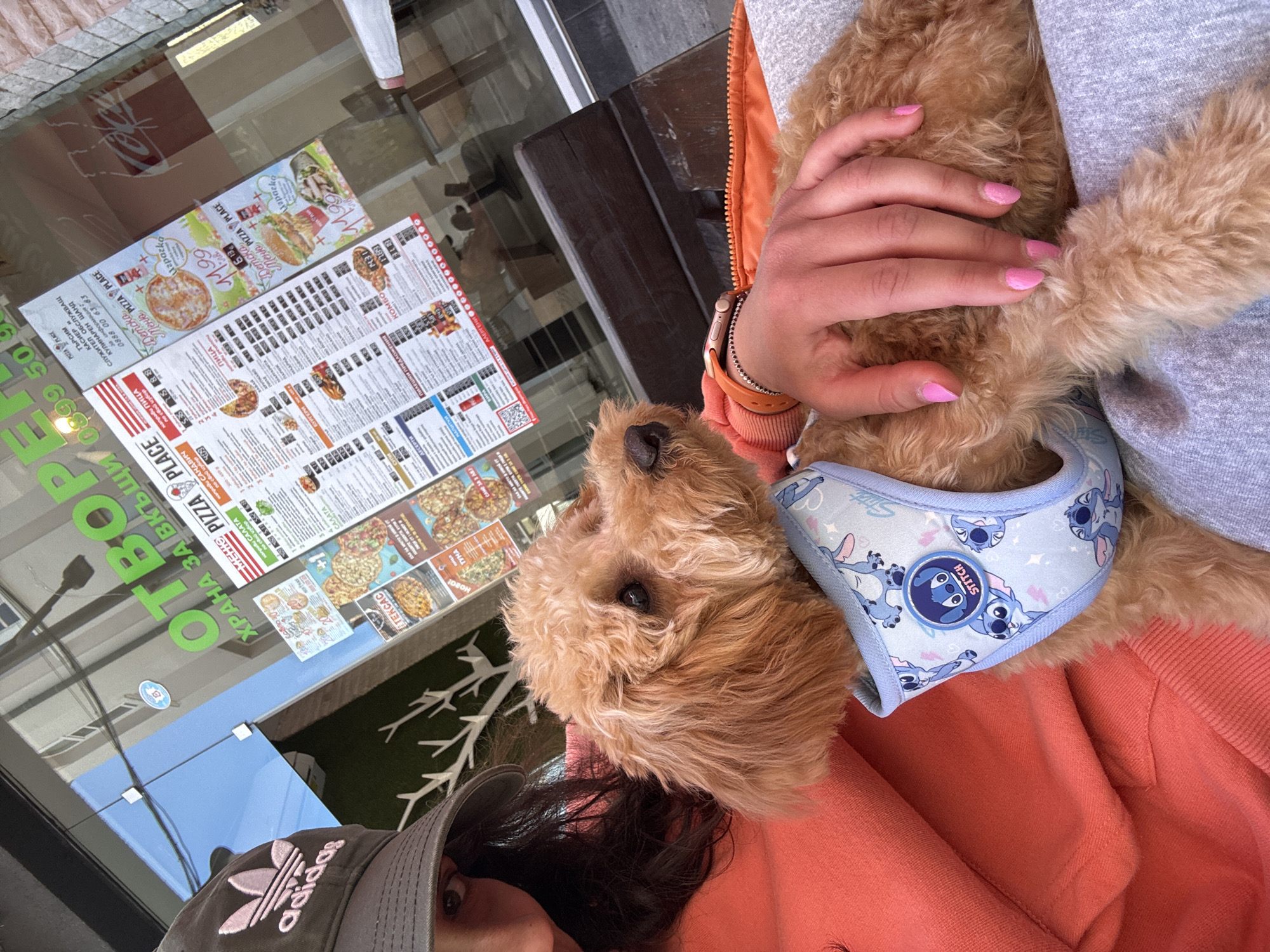 Diners share pizza with golden doodle at Blagoevgrad restaurant