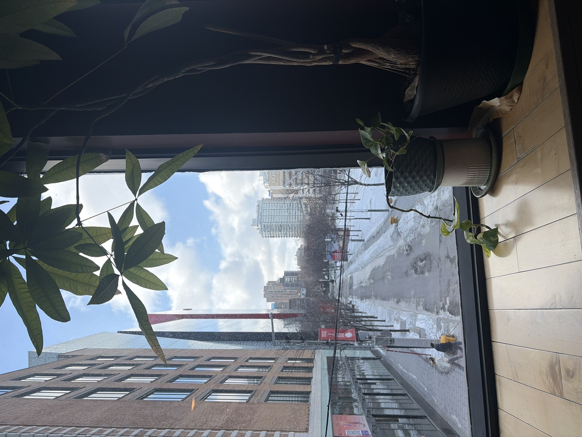 Montreal daily life scenes captured across cafes and workspaces