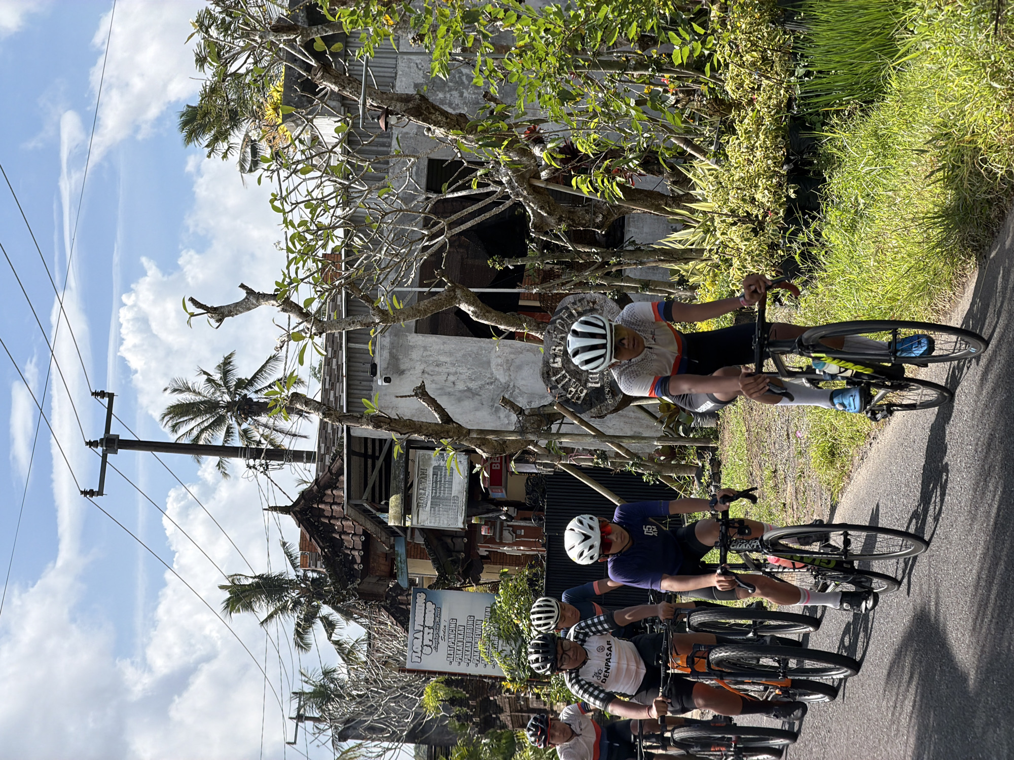 Morning traffic on palm-lined road in Marga, Indonesia