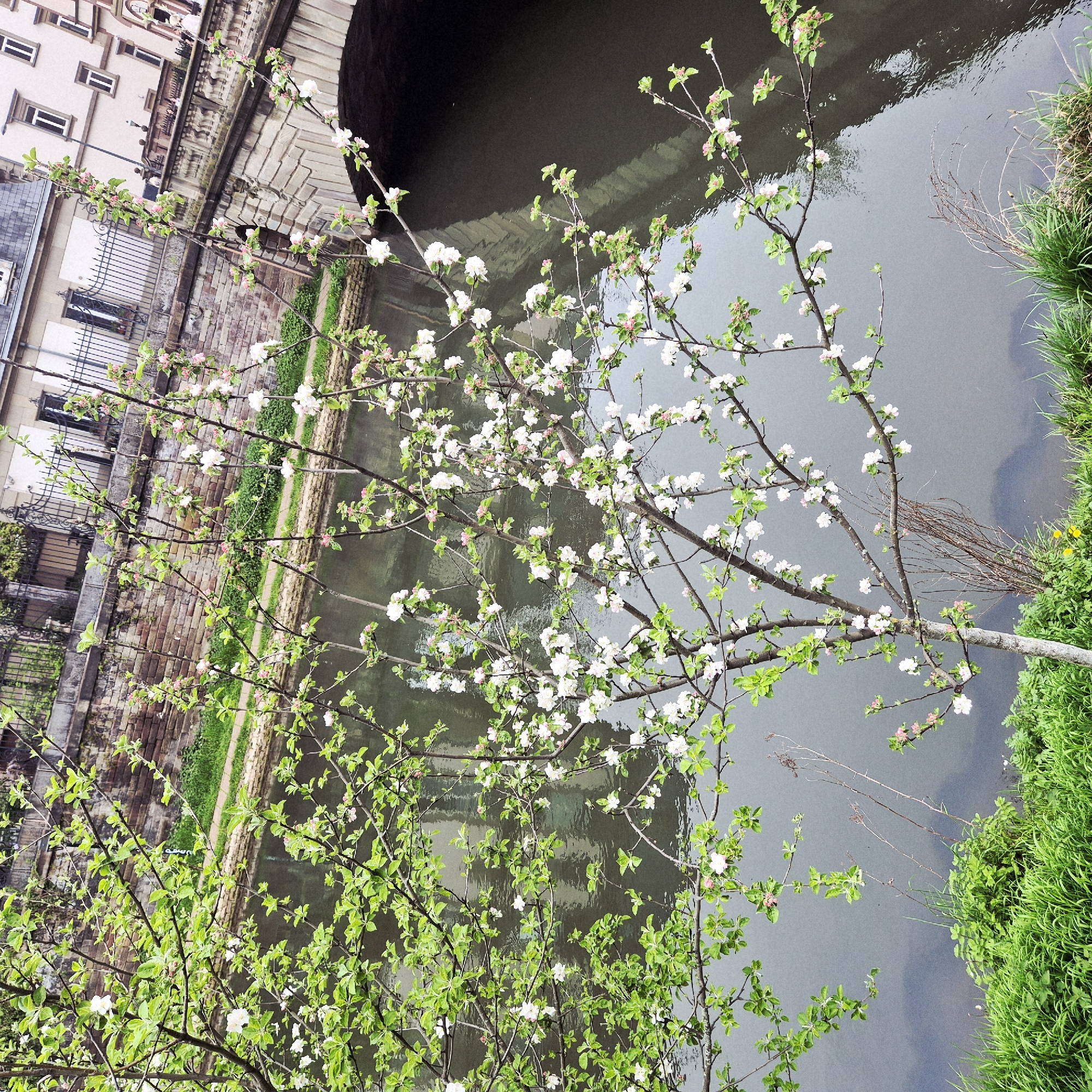 Spring scenes and political messages captured along Strasbourg canals