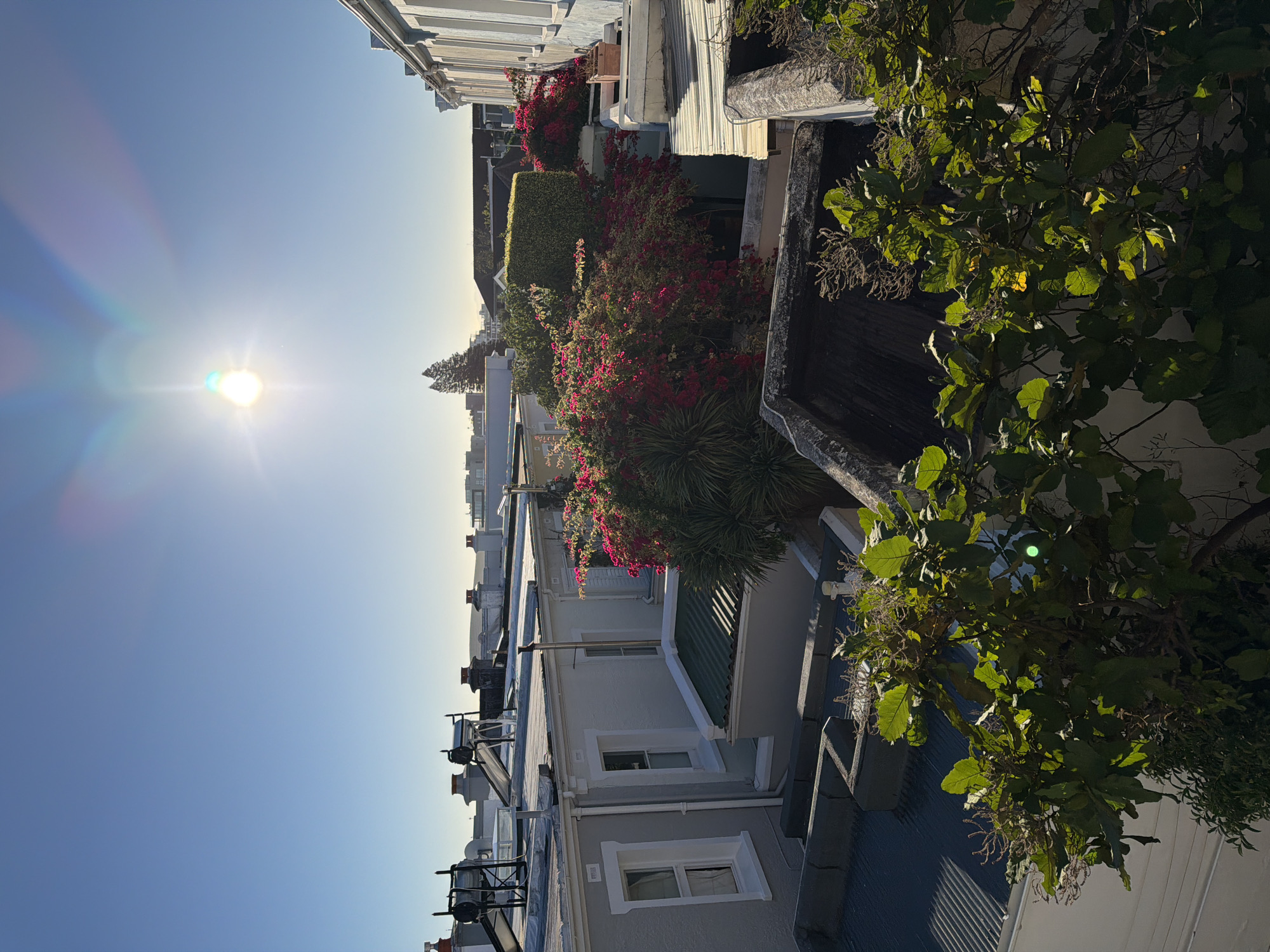 Morning residential views captured in Cape Town neighborhood