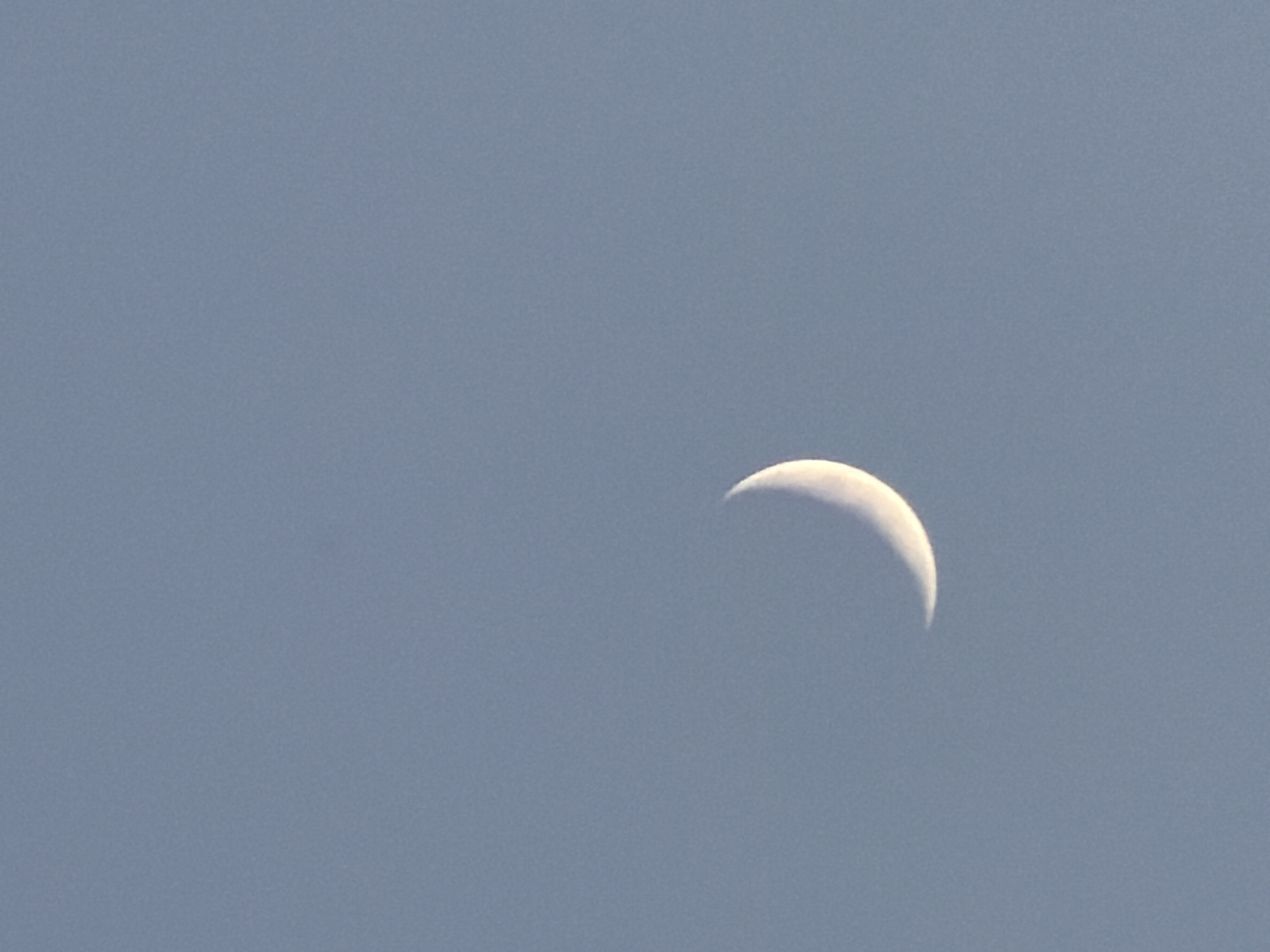 Sofia evening sky: contrails, crescent moon, and a park at dusk