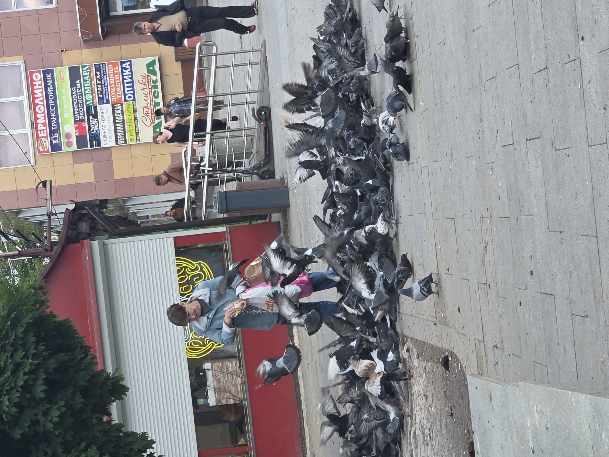 Pigeons and pedestrians share a Moscow plaza on a June morning
