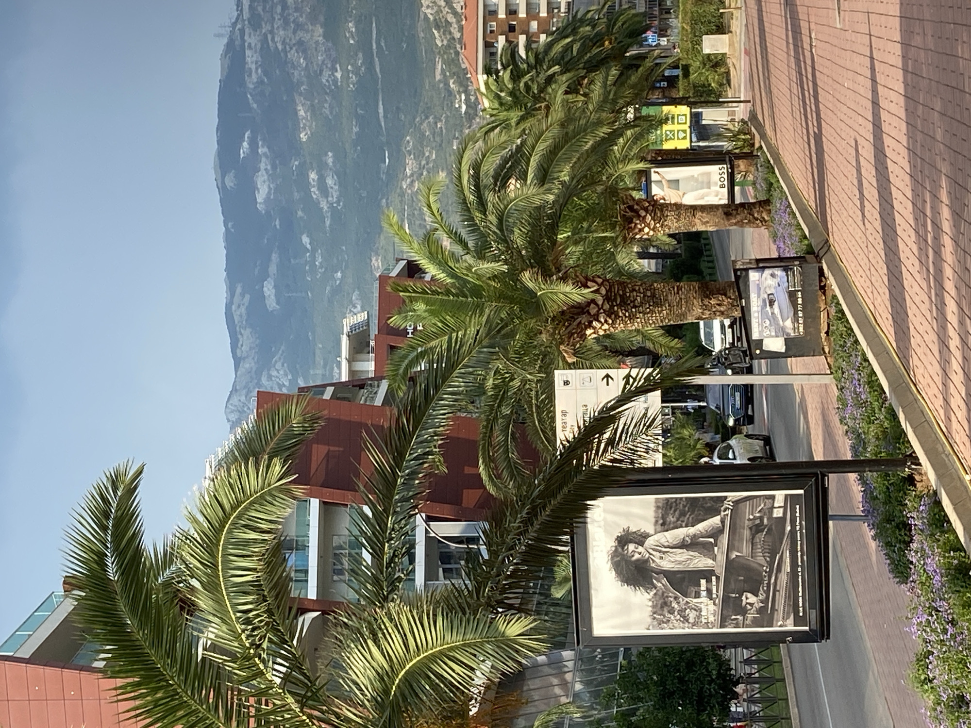 Budva marina on a summer afternoon, boats and waterfront life
