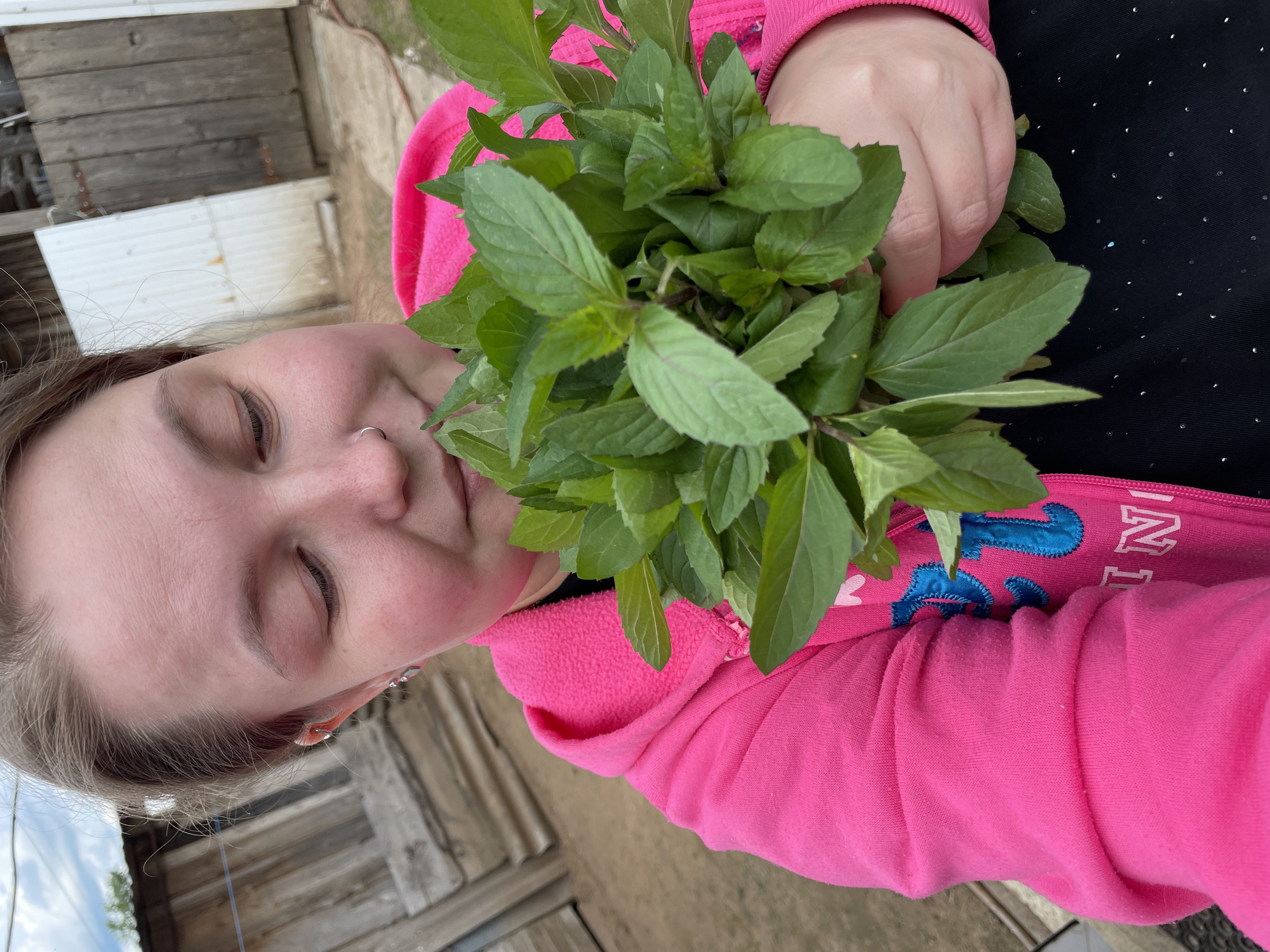 Rural Russia morning moments: herb gathering and egg discovery