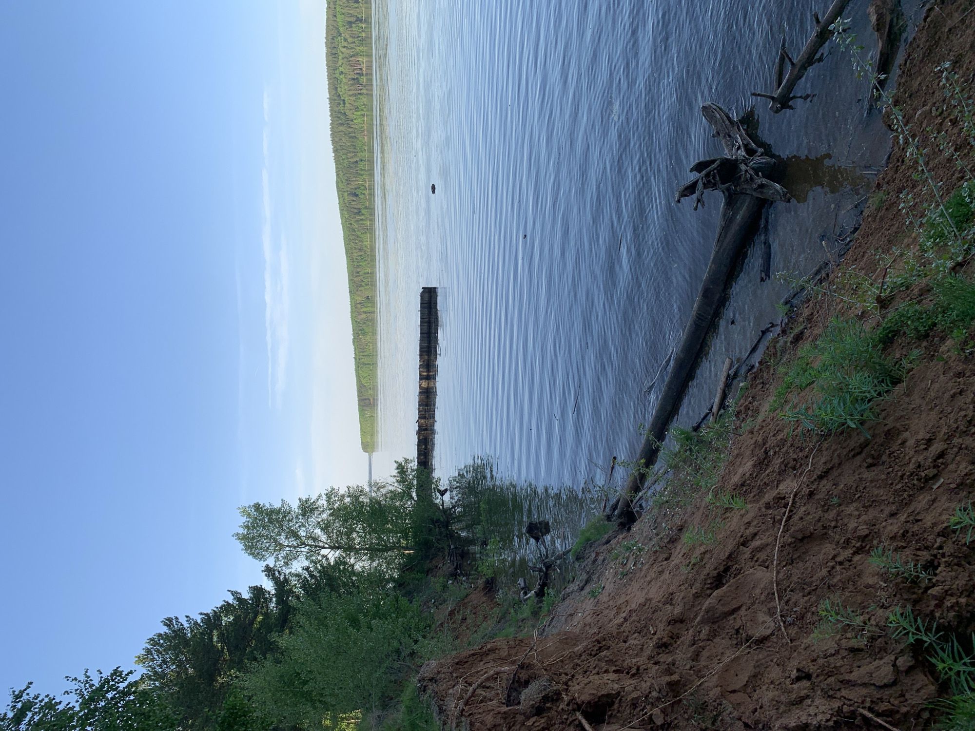 Family enjoys afternoon outing by Kama River in Chaikovsky