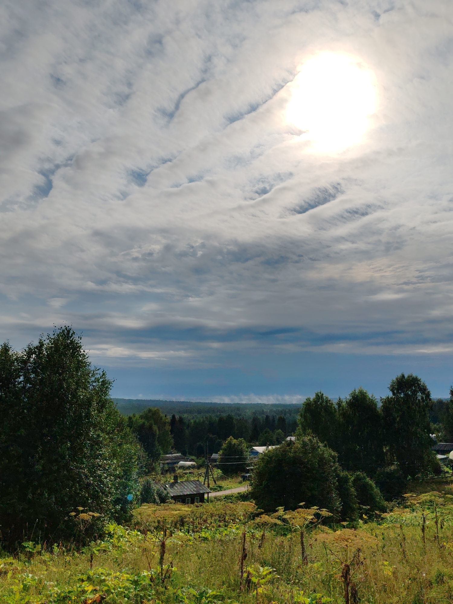 Summer afternoon in Chukhloma: flowers, fields, and rural calm