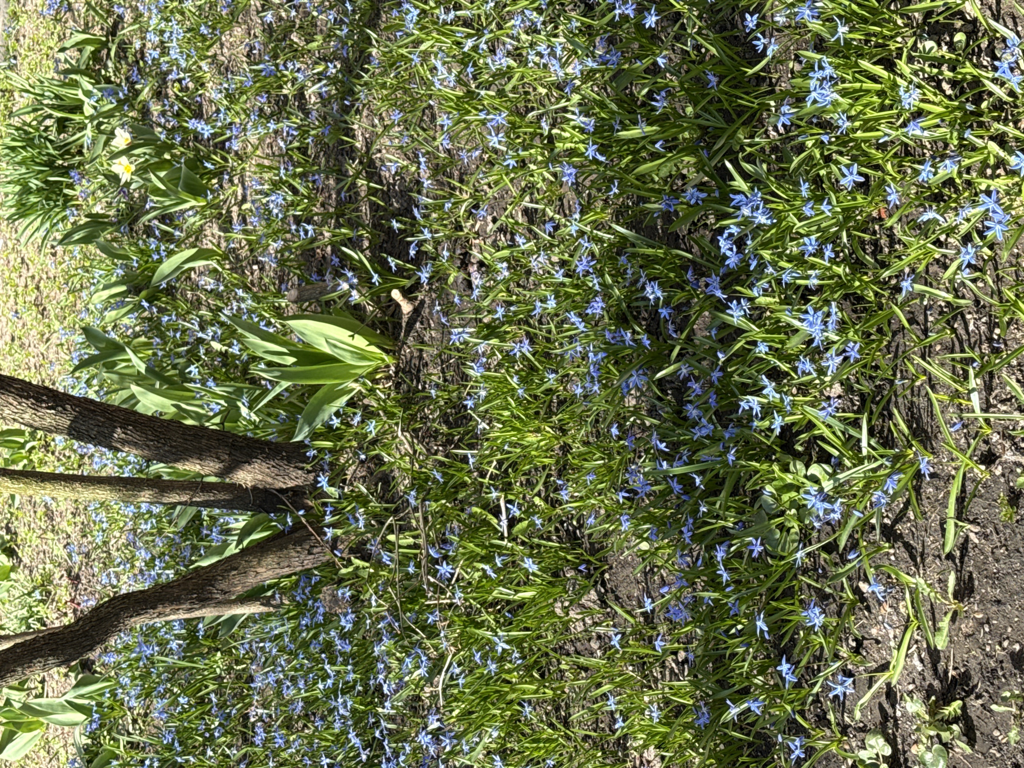 Spring day moments captured in Reutov, Russia