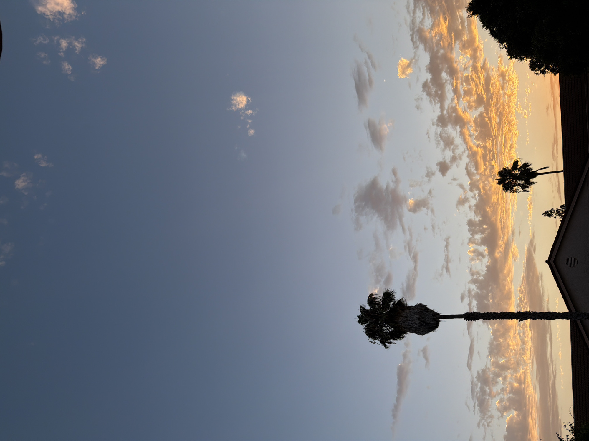 Palm tree silhouetted against a vivid tropical sunset