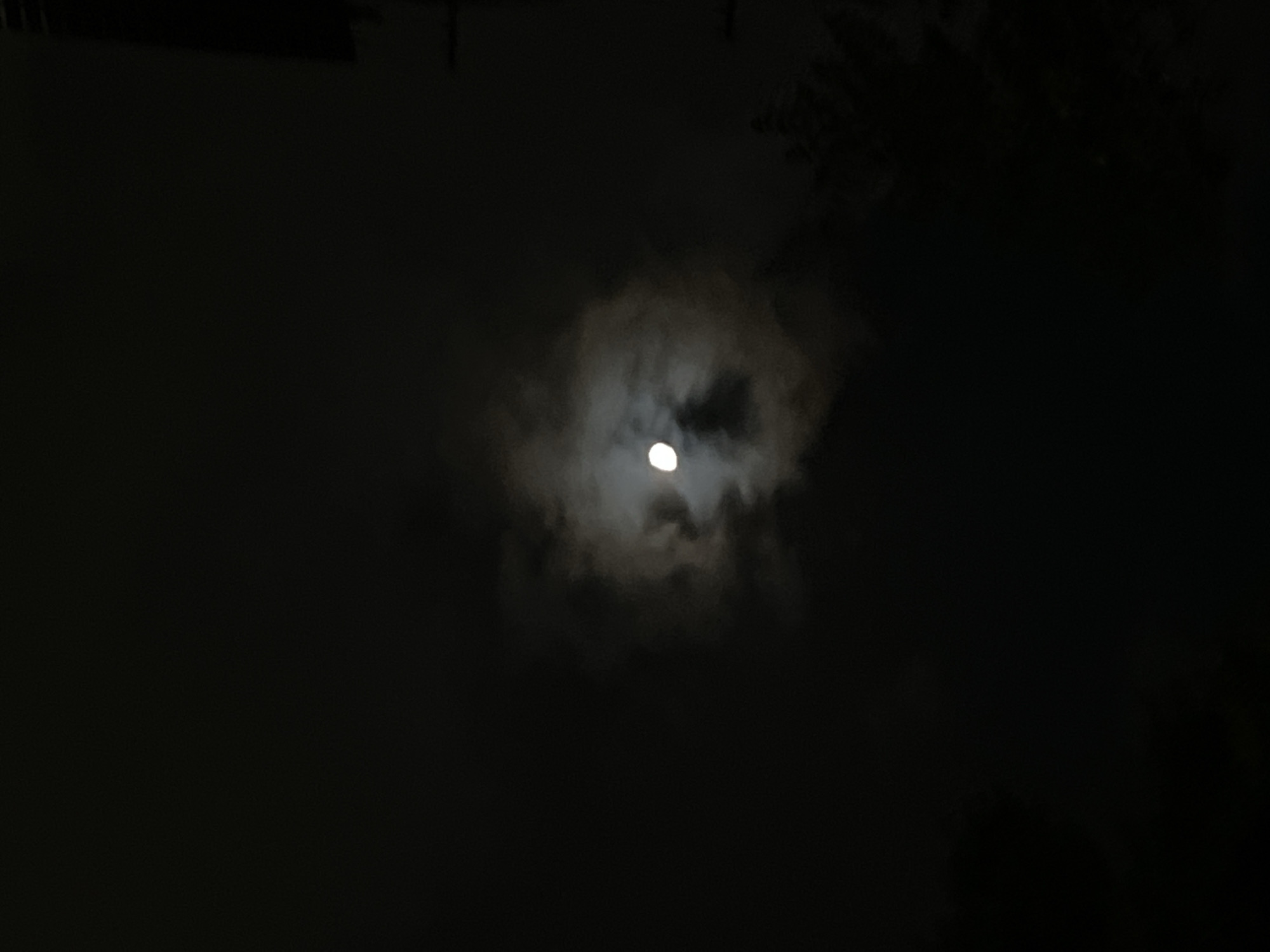 Moon observed through clouds in night sky scene