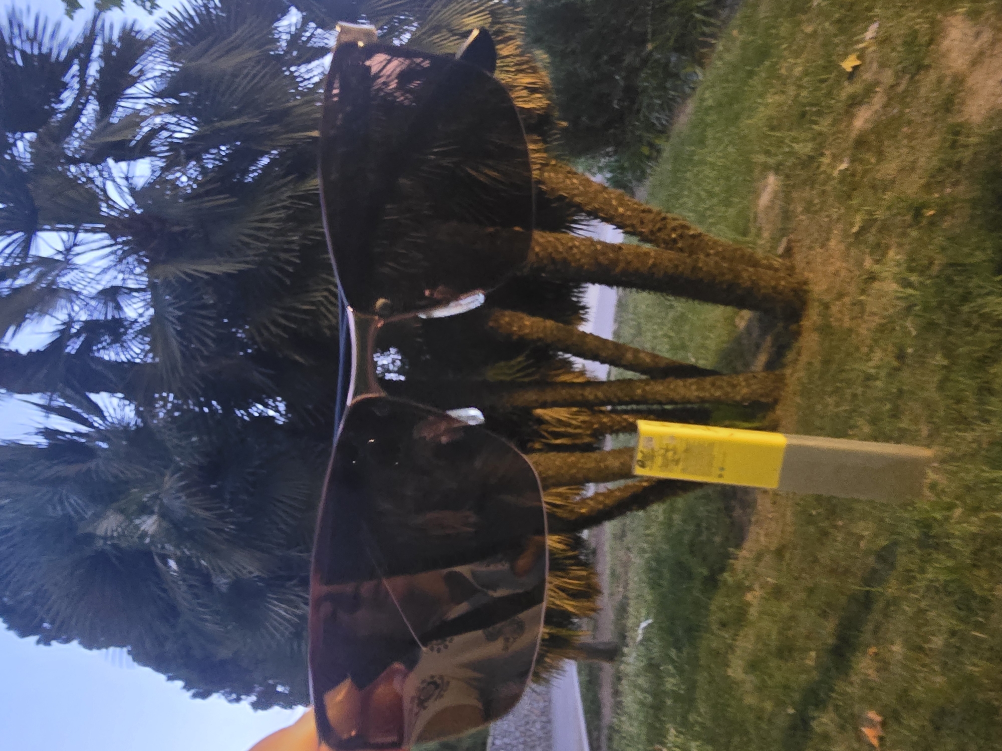 Oversized sunglasses photographed in Spanish park setting