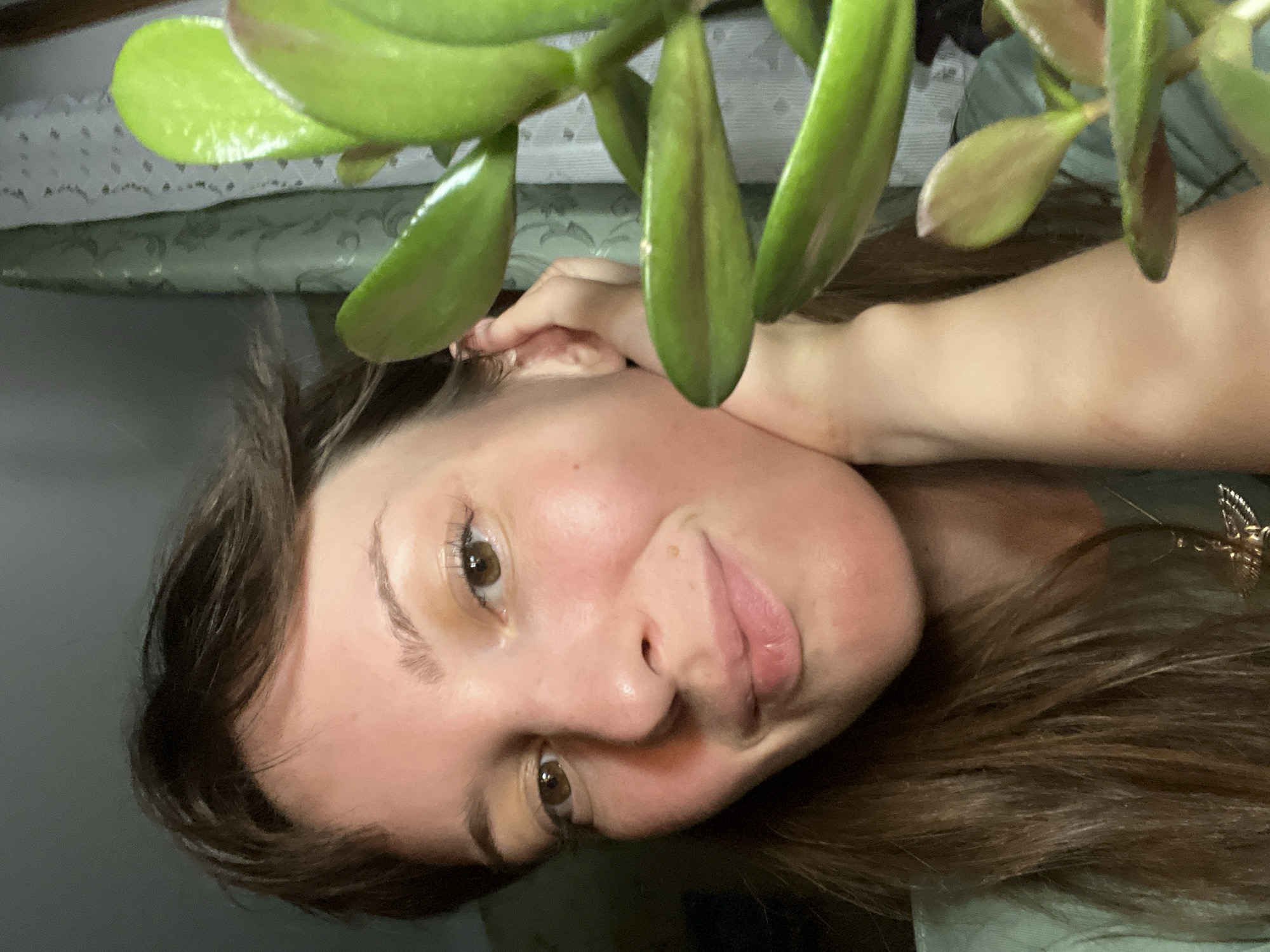 Close-up moments with a jade plant in Gubakha, Russia