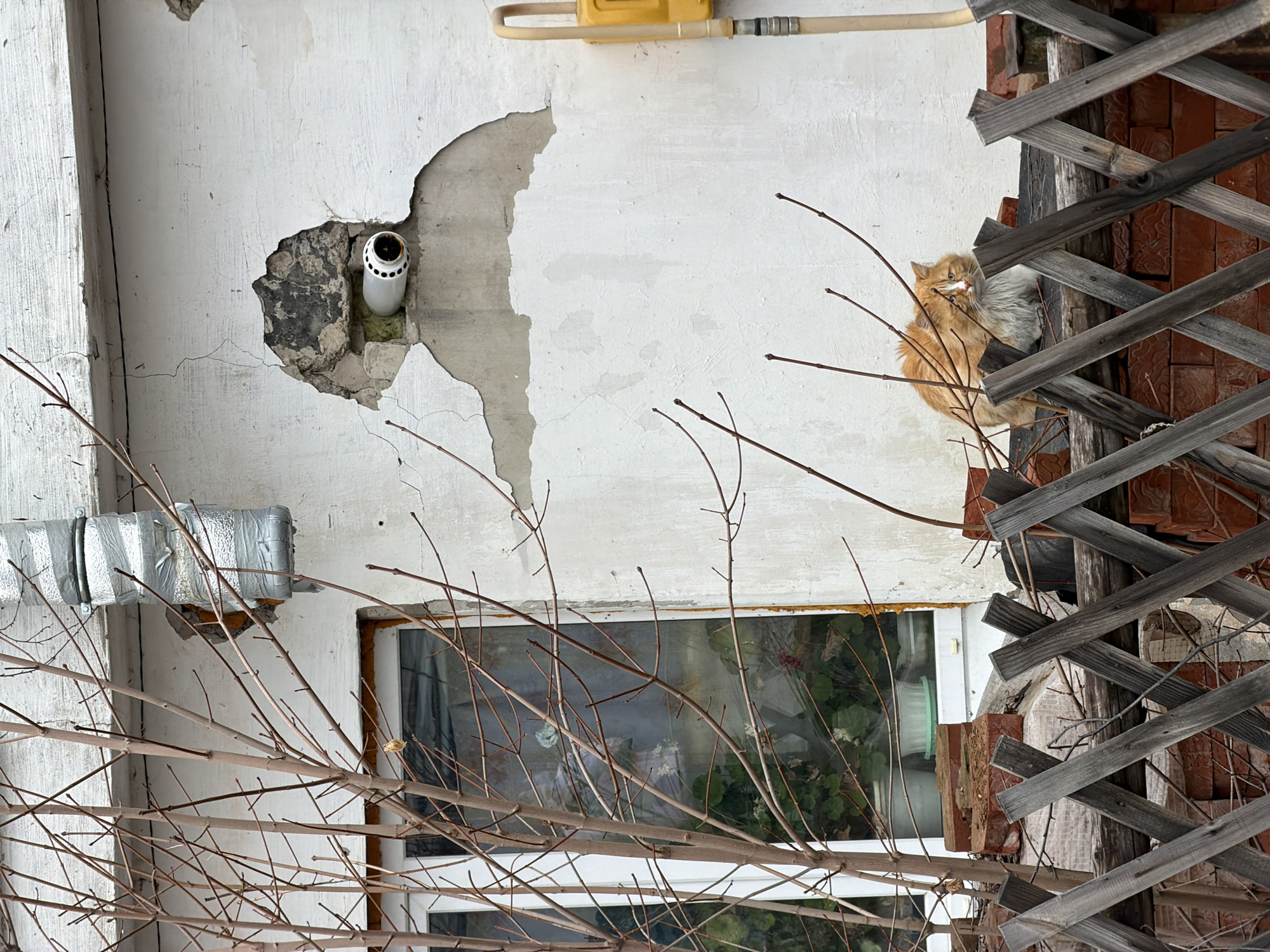 Daily life scenes documented in Chaikovsky, Russia