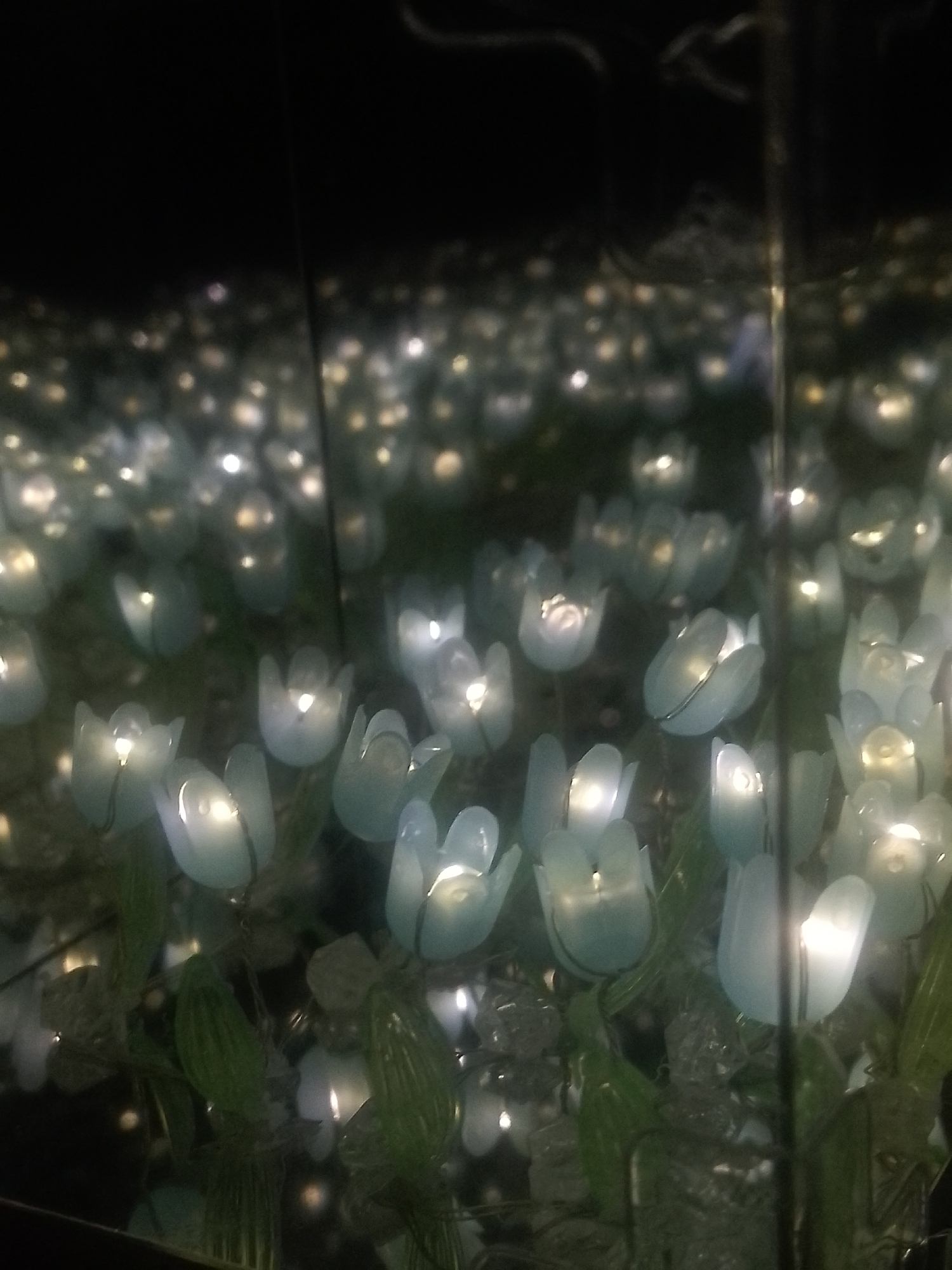 Illuminated floral displays documented in Davao City indoor venue