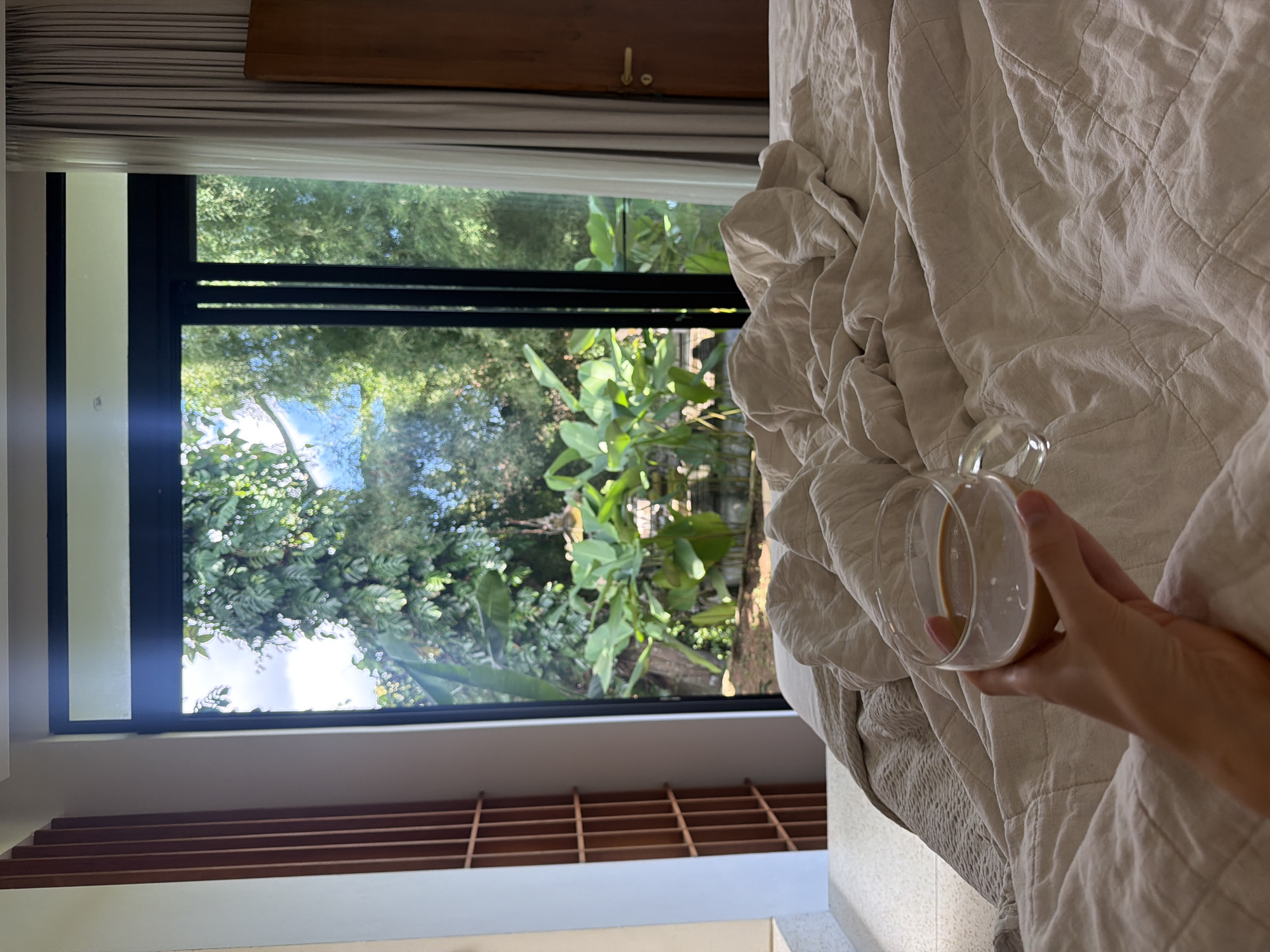 Person and dog share quiet morning moments on couch