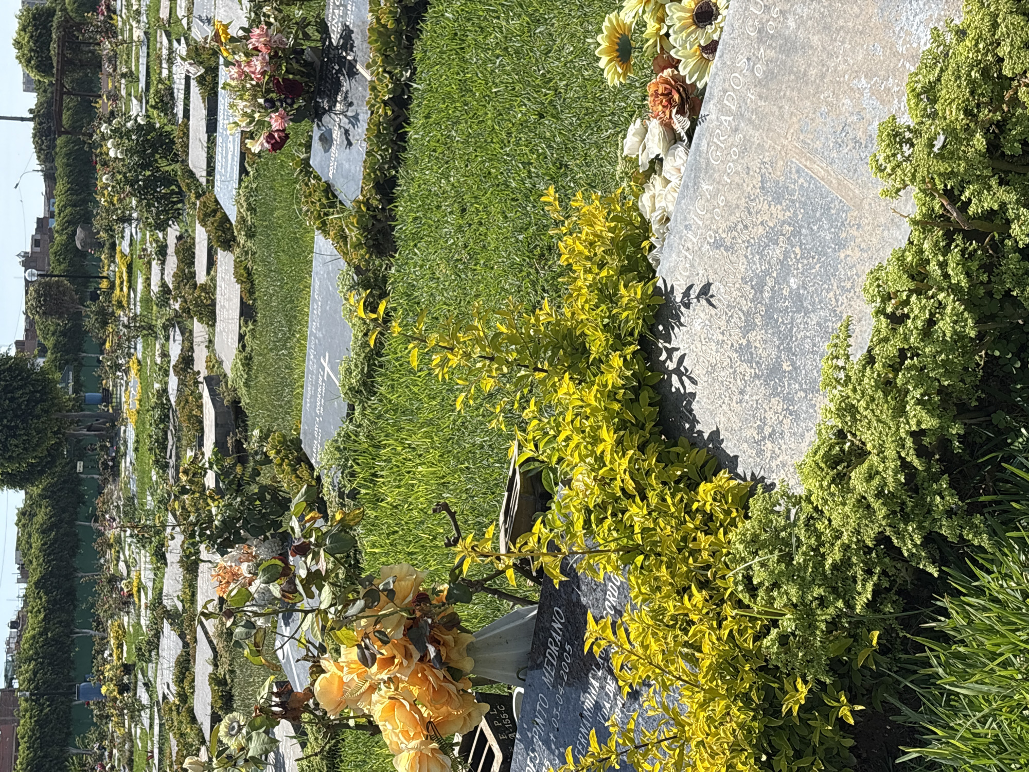 Cemetery grounds documented in Callao, Peru with flowers, gravestones