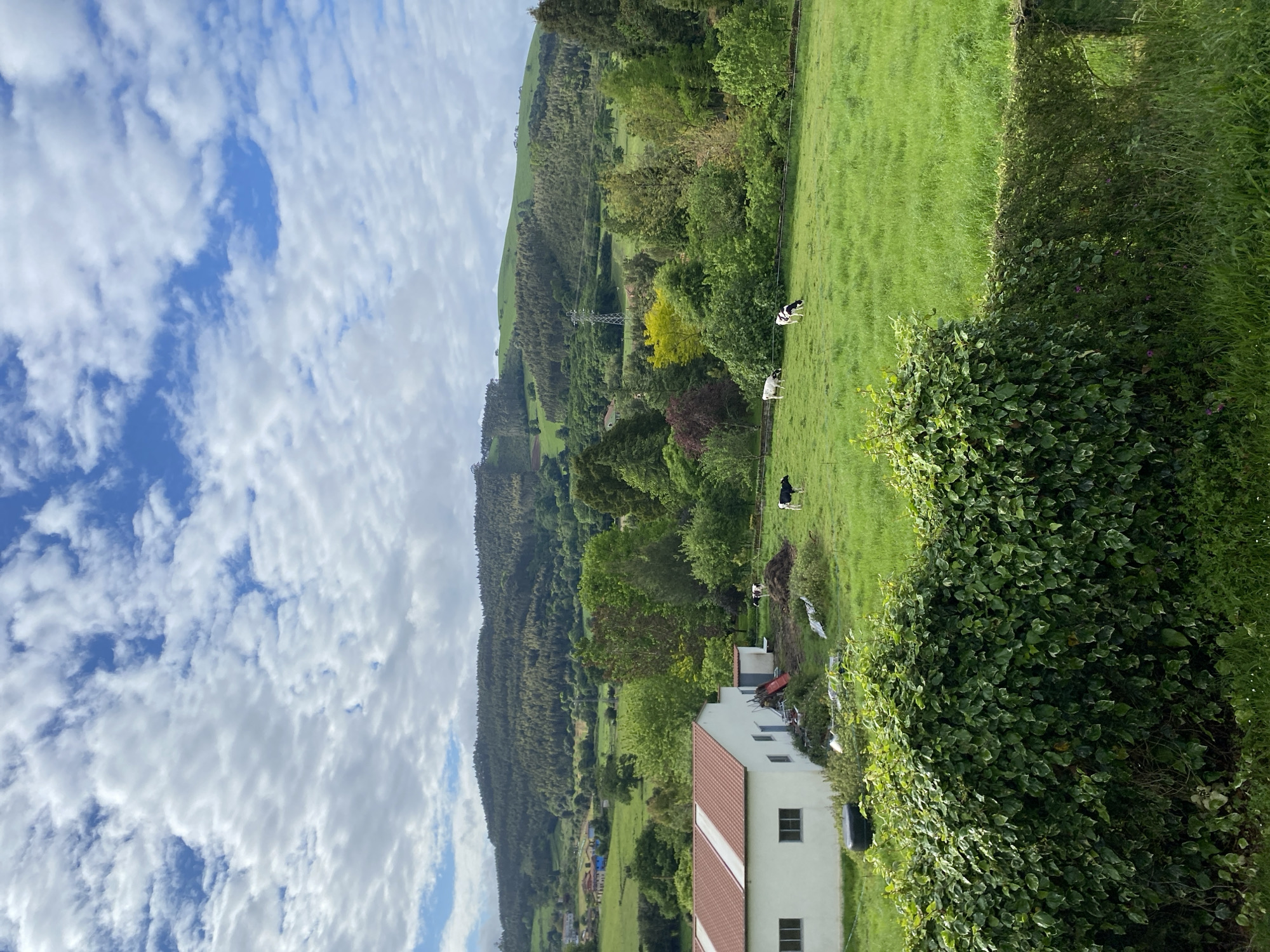 Morning rural landscape views documented in Villaviciosa, Spain