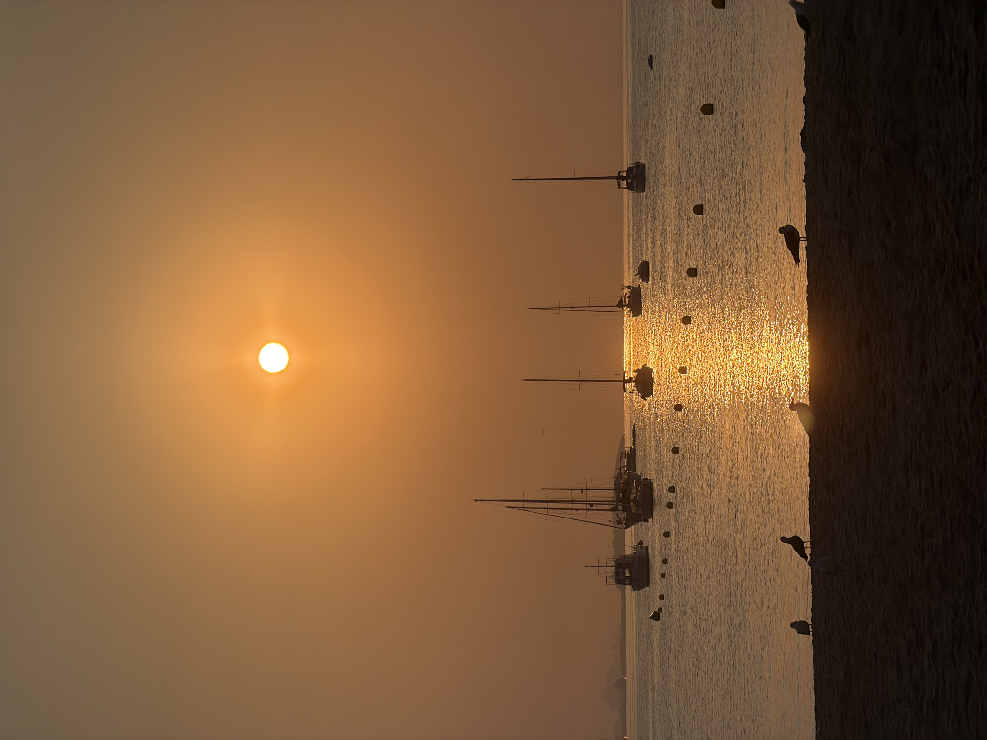 Golden hour along the Calvià coast, sailboats and seagulls