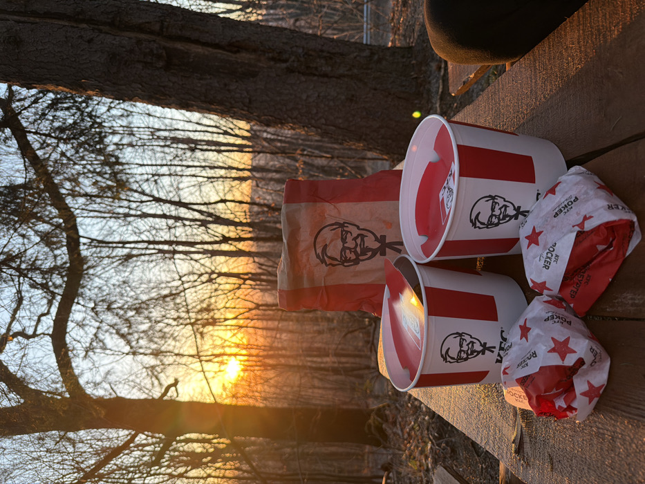 KFC meal photographed on picnic table in Sofia forest