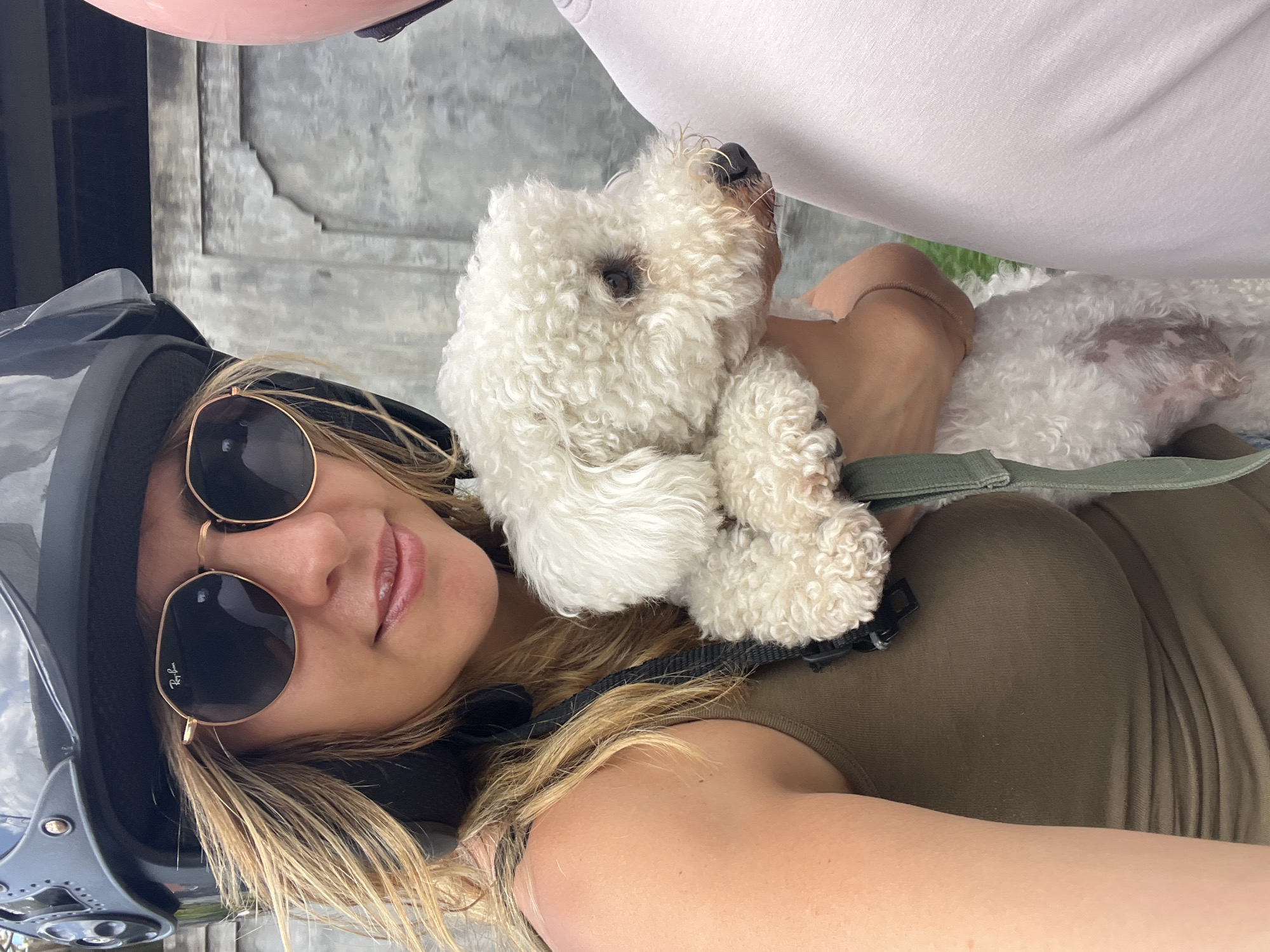 Rice paddies and a fluffy dog on a stormy Bali morning