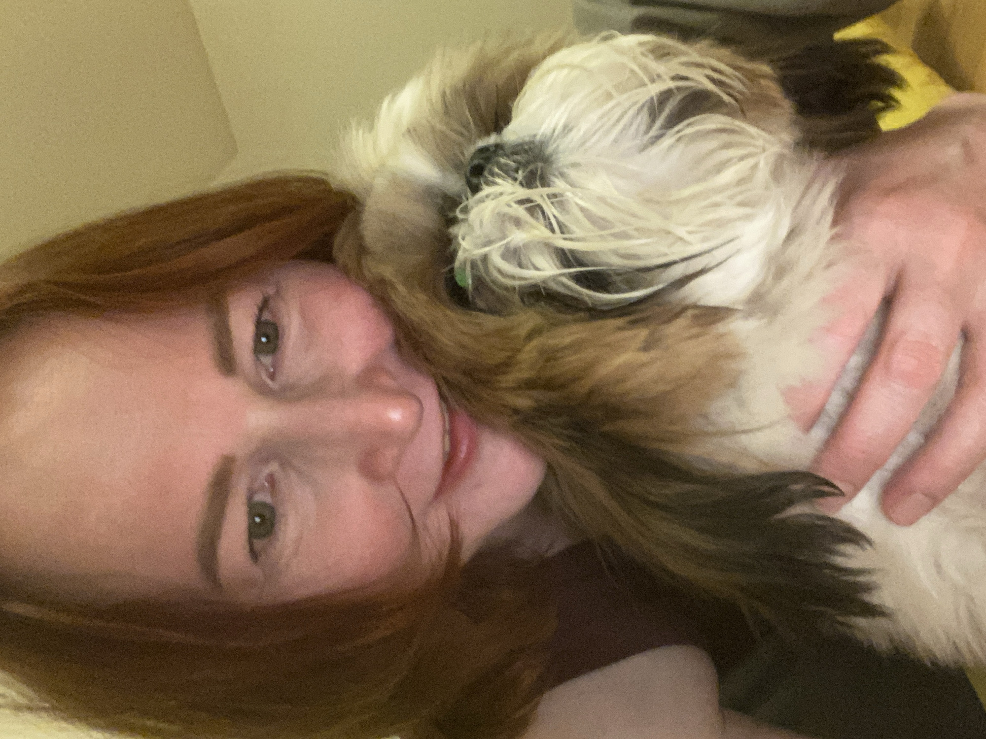 Person enjoys poker night with Shih Tzu in Chaikovsky