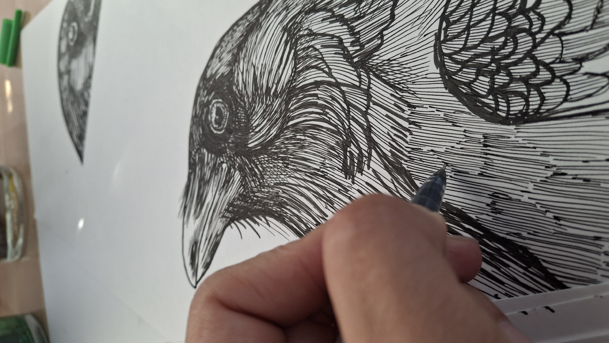 Artist creates detailed raven drawings in Kempelevo, Russia