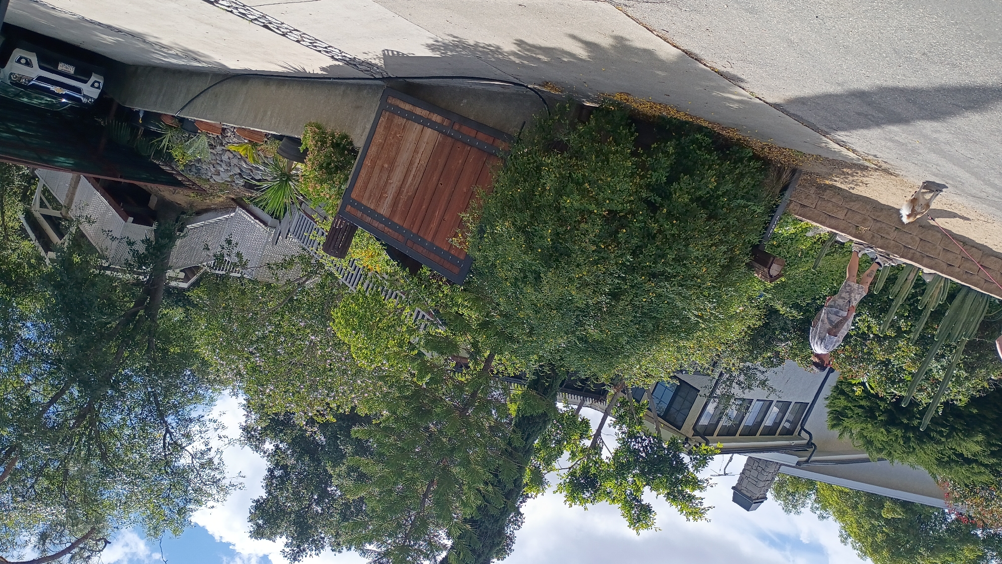 Sunny residential scenes documented in Los Angeles evening