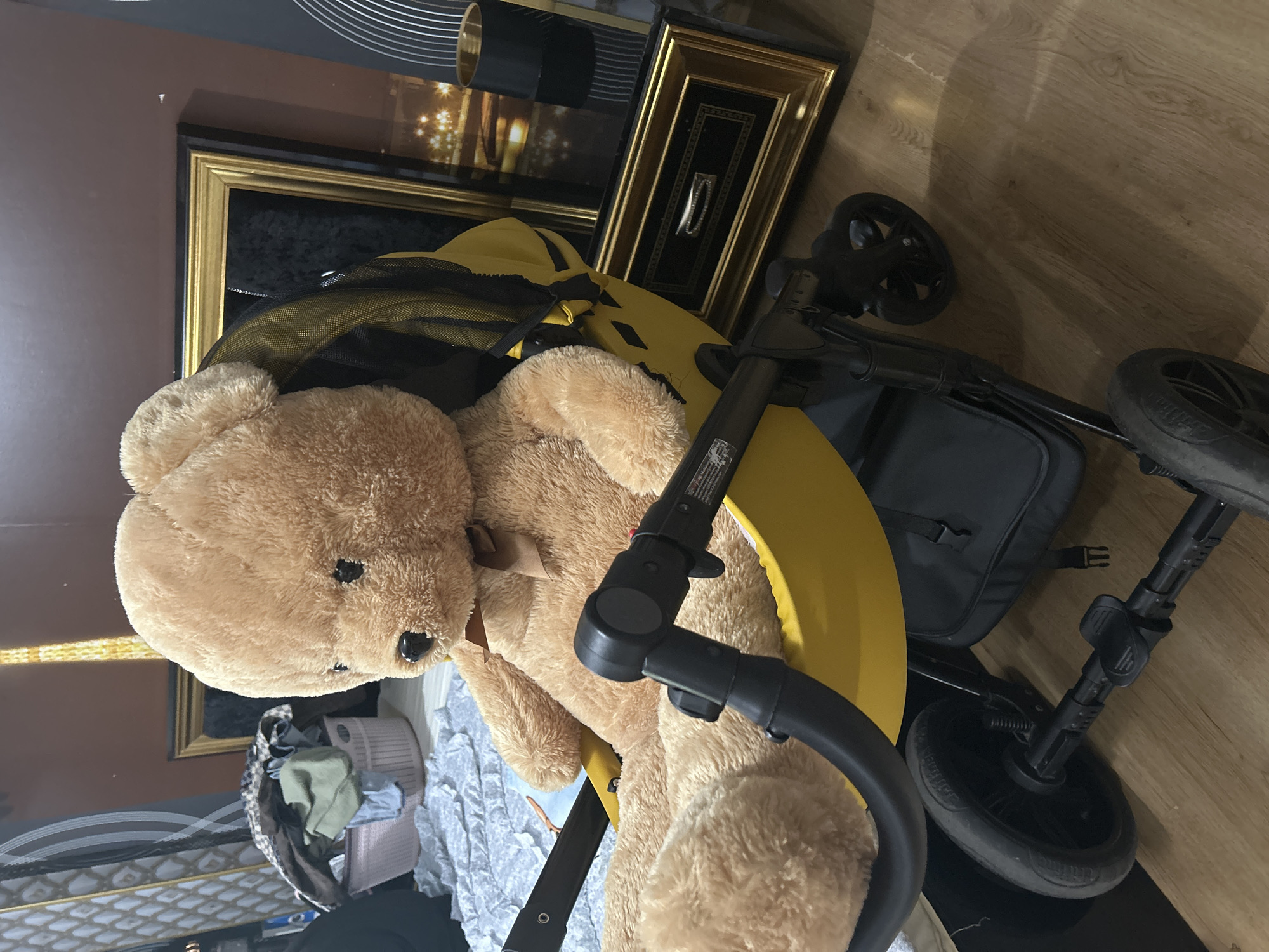 Busy domestic day at a Slanchevo home, June 2026