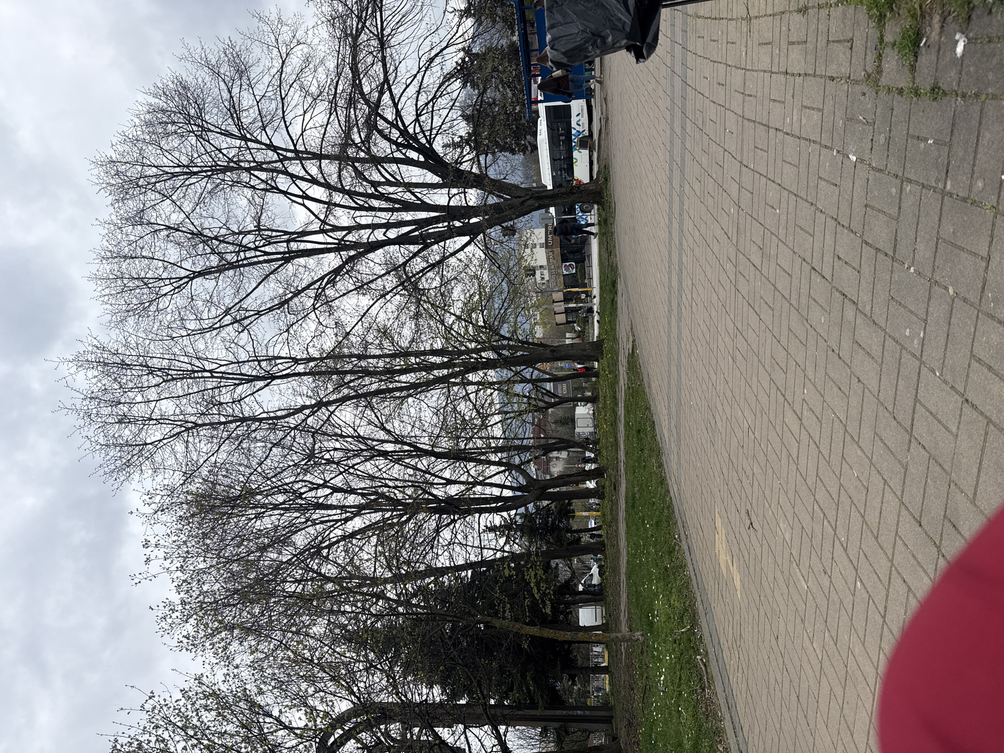 Daily urban life documented across Sofia locations
