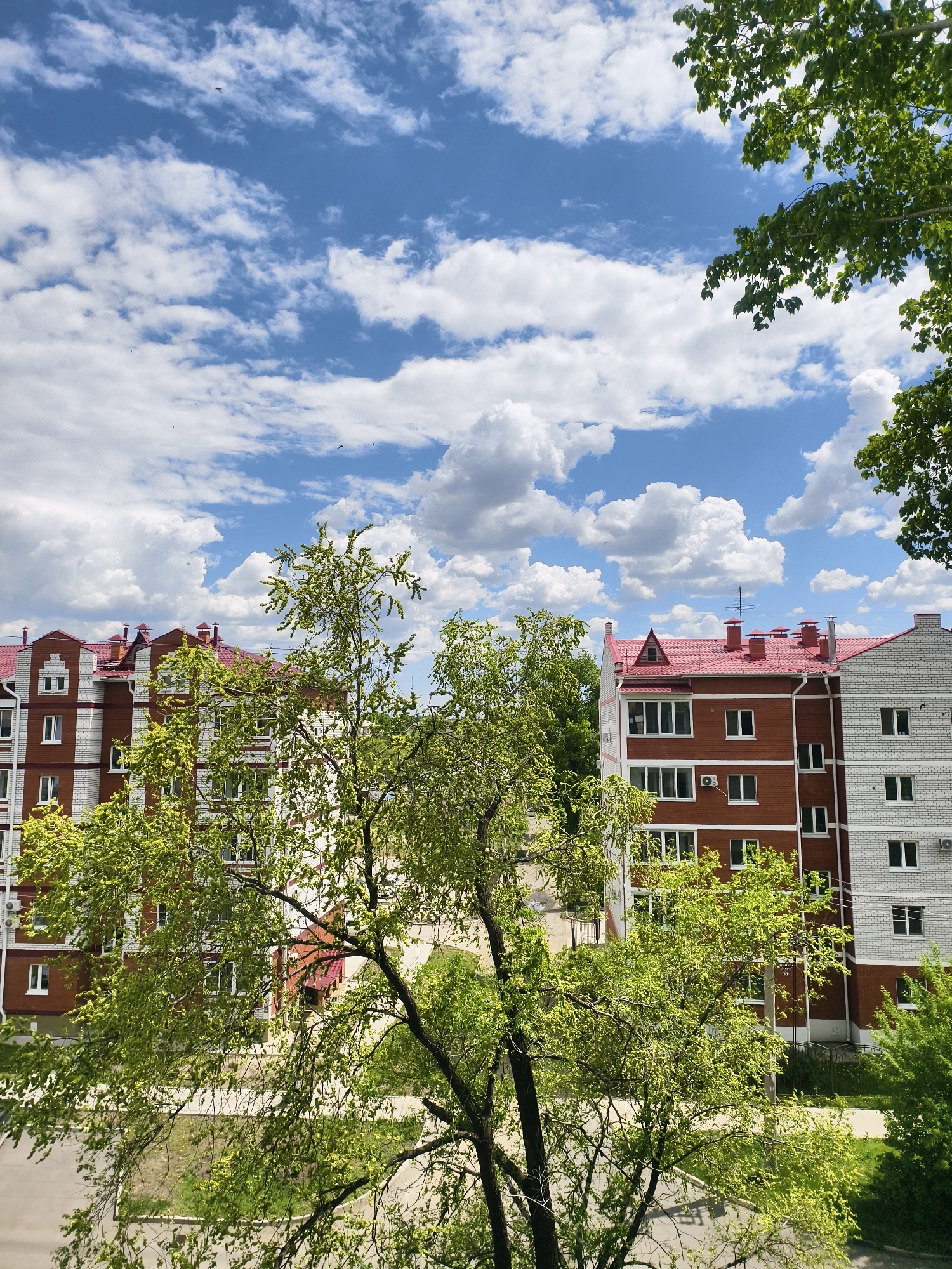 Spring morning view captured of Belogorsk residential buildings