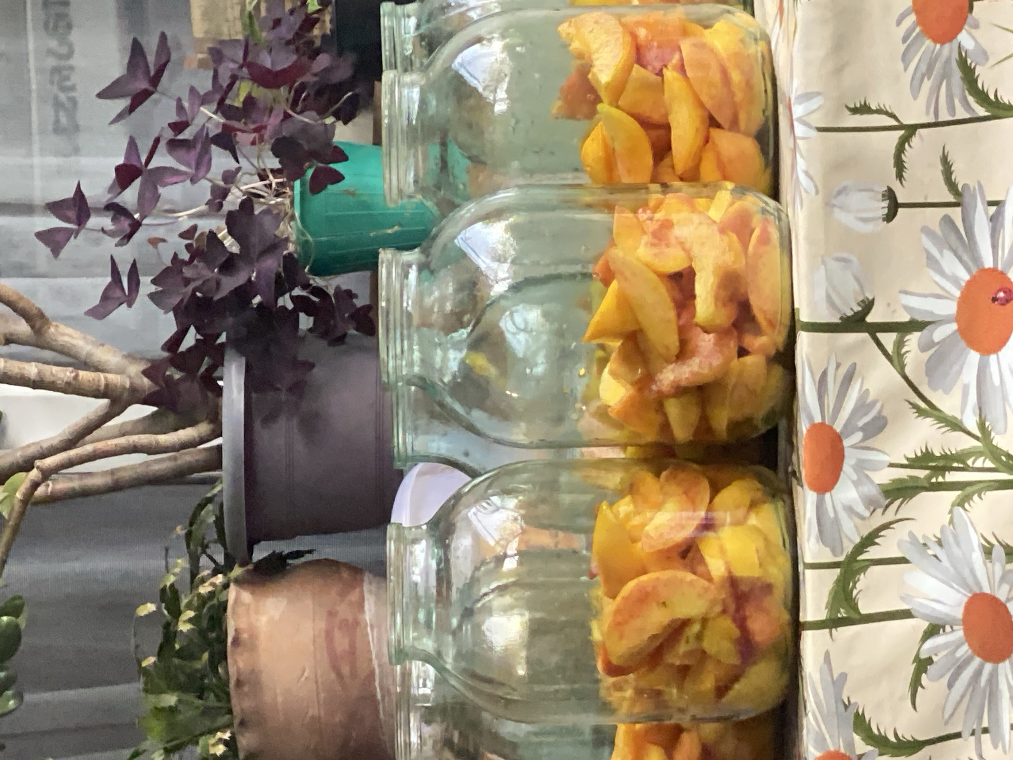 Peach preserving jars lined up in a Georgian kitchen