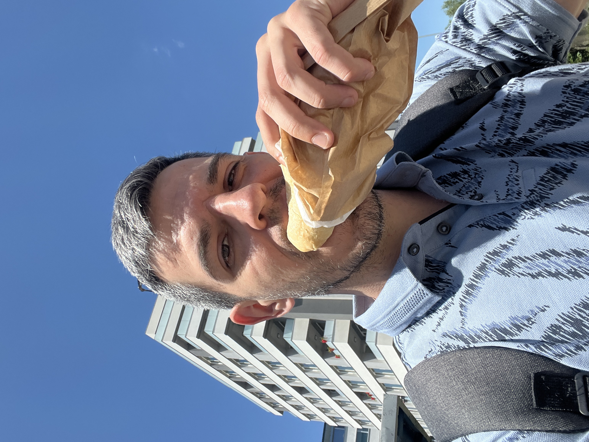 Street cat, sandwich break, and a Sofia vet clinic