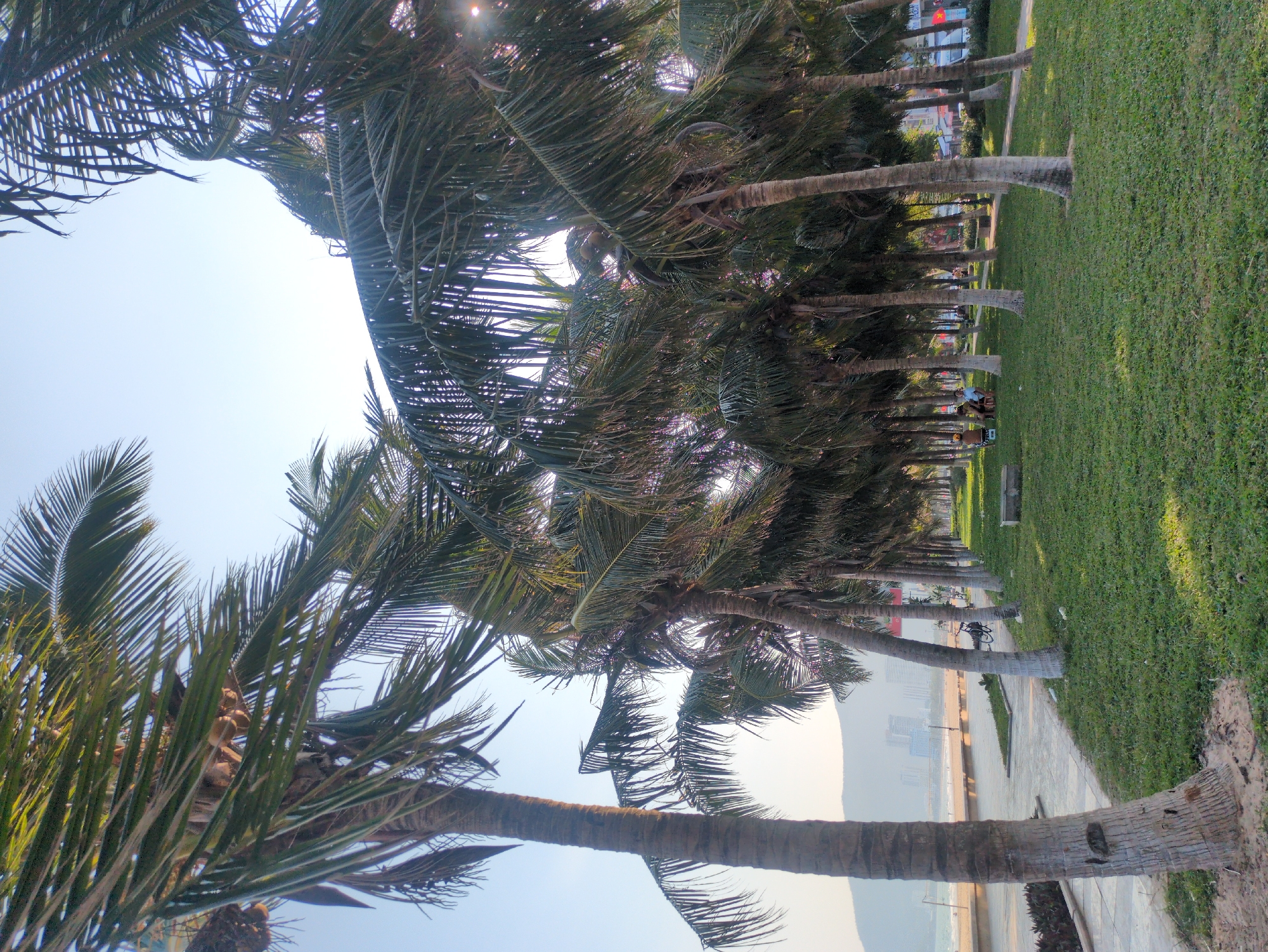 Morning scenes from Quy Nhon beachfront park and cultural monuments