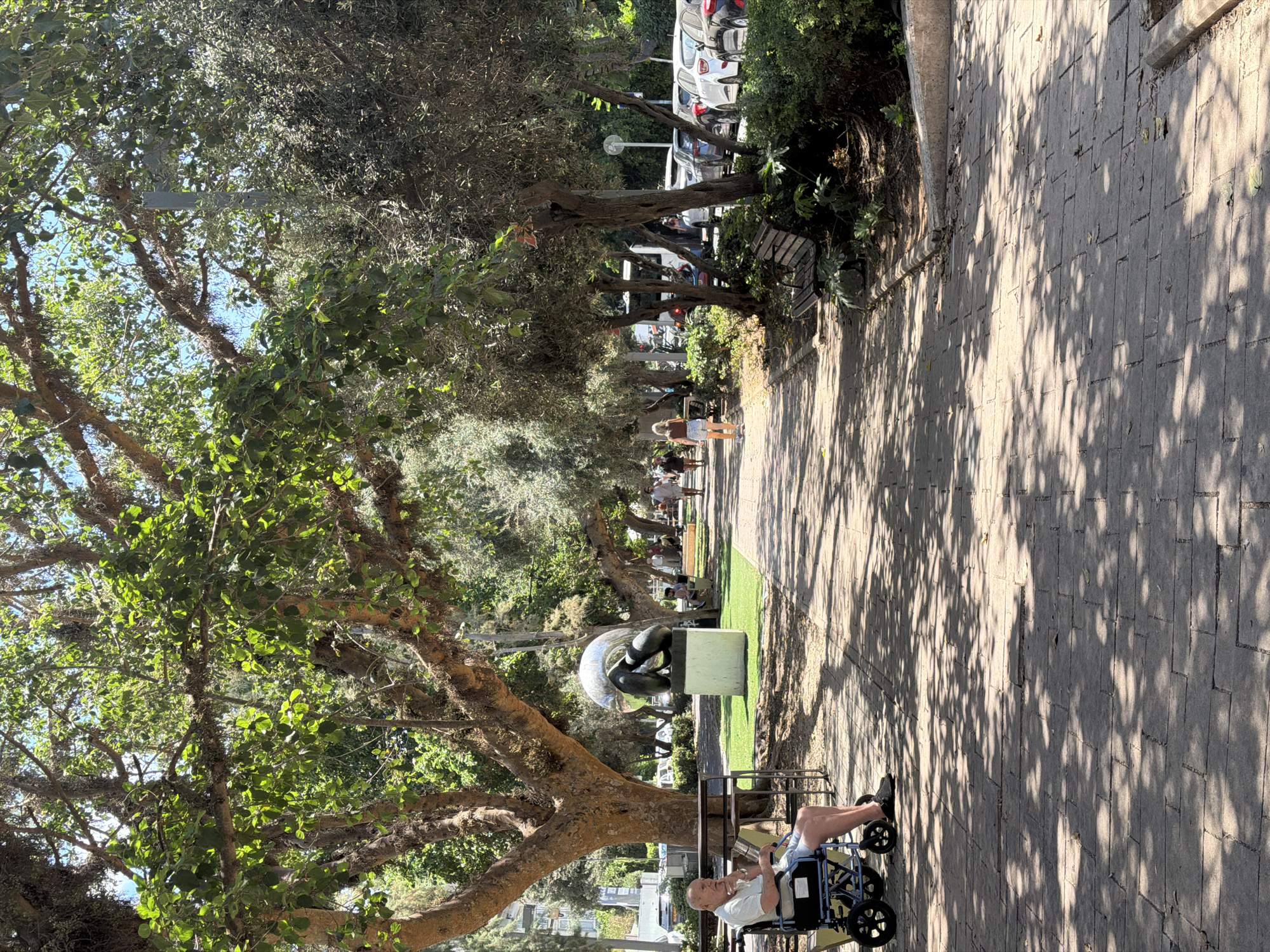 Park bench and surfboards on a Tel Aviv summer morning