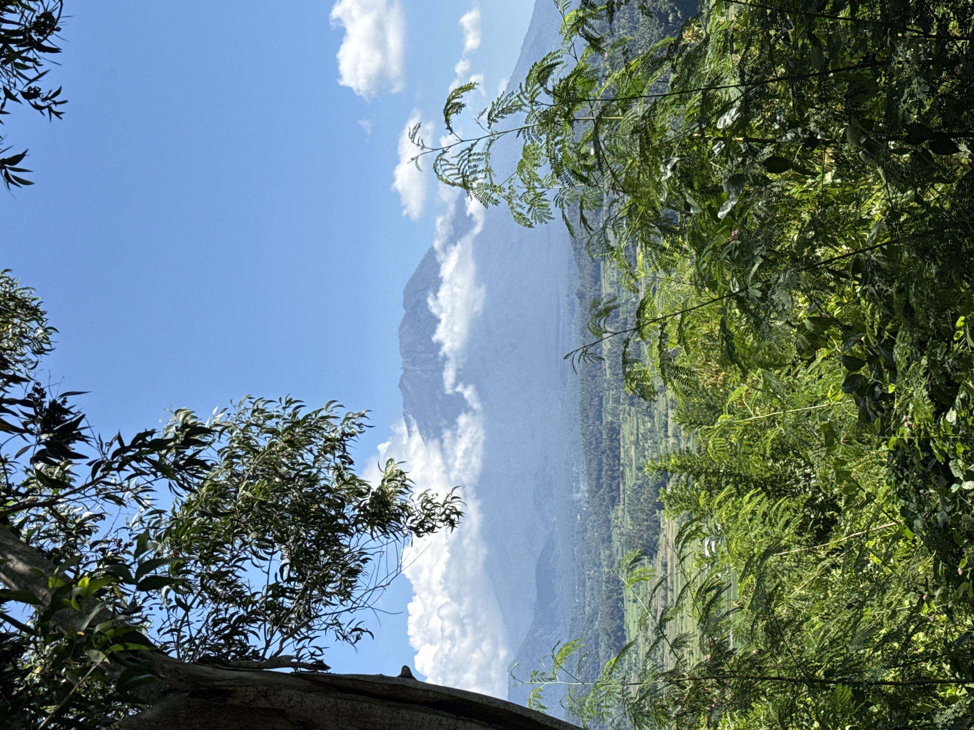Mountain landscape photographed through vegetation in Bugbug, Indonesia