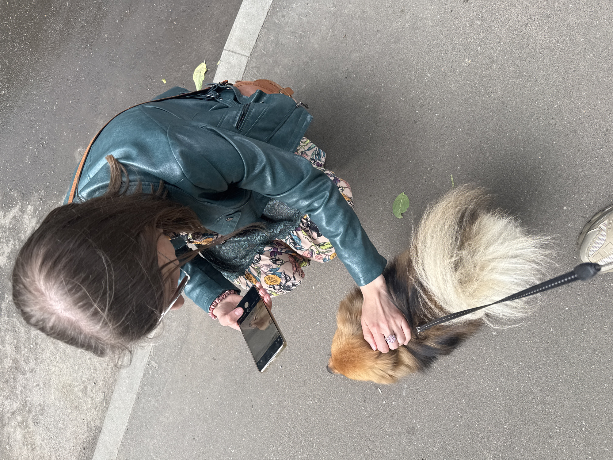 Dogs, statues, and escalators on a Moscow afternoon