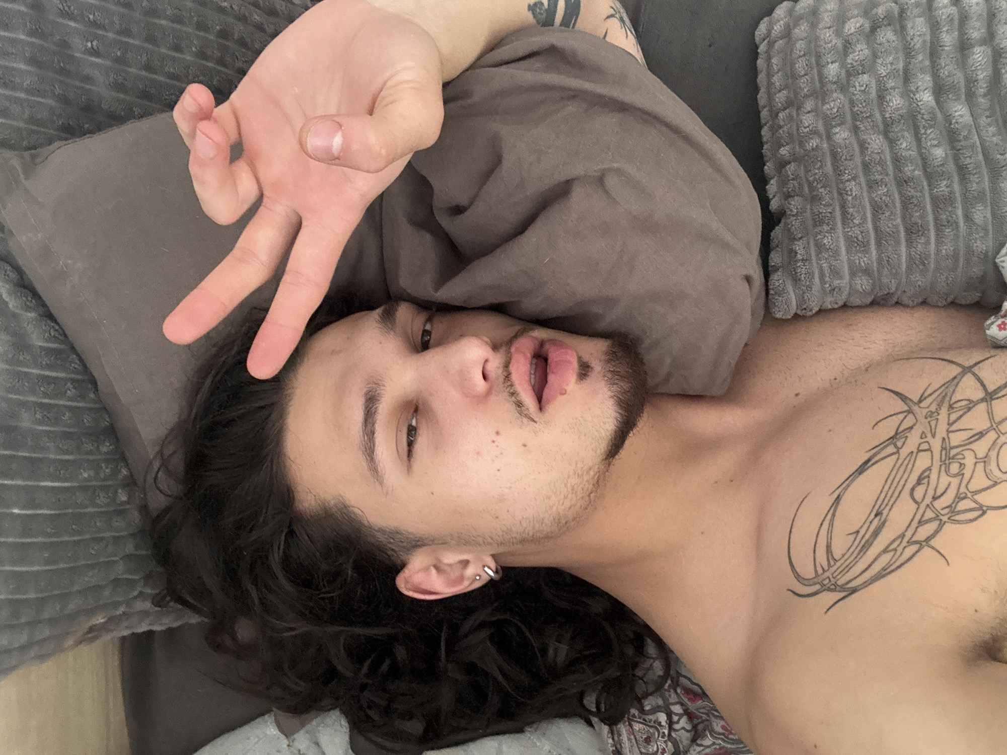 Lazy morning in bed with a dog, Sofia