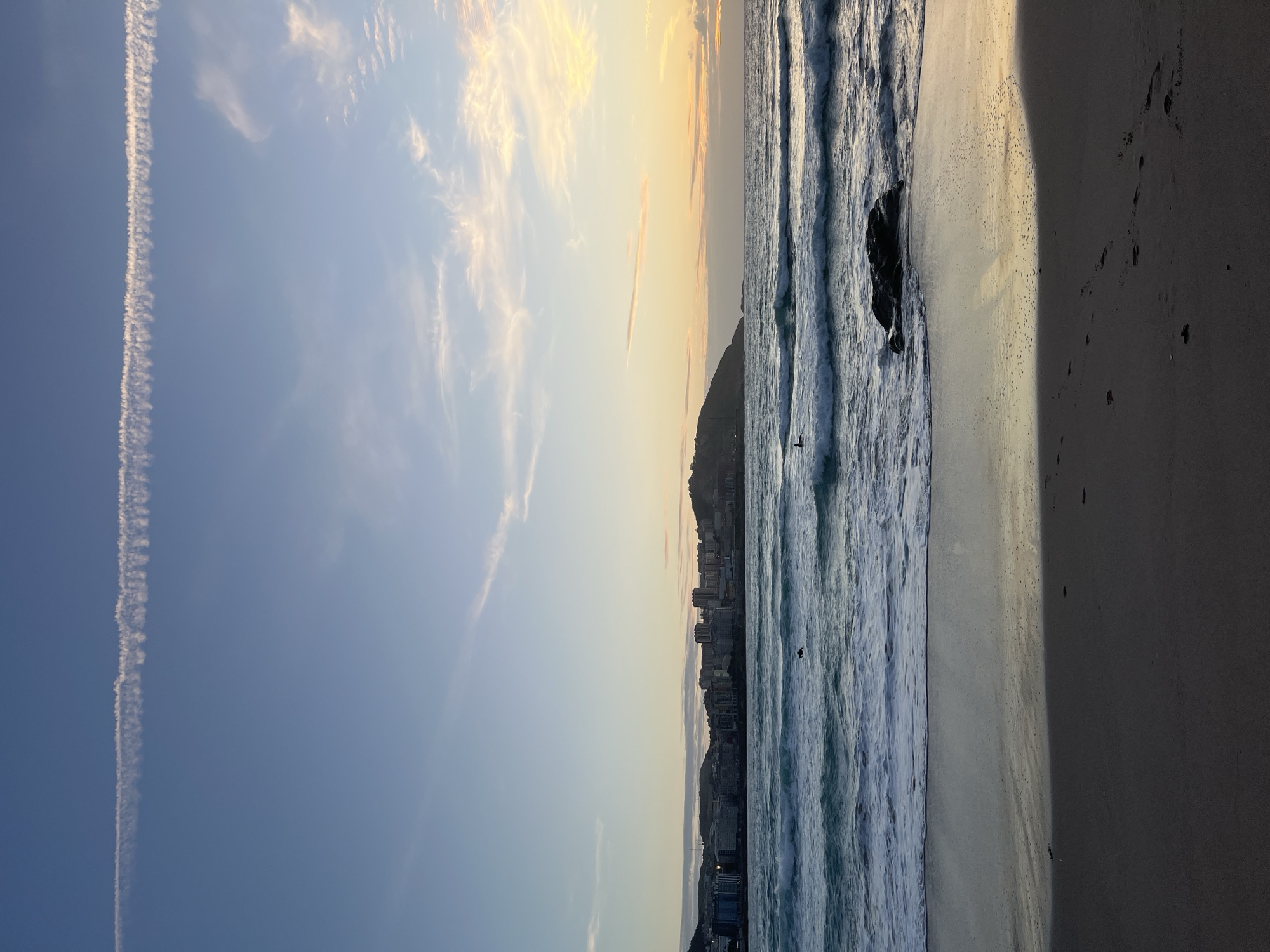 Sunset waders captured along A Coruña coastline
