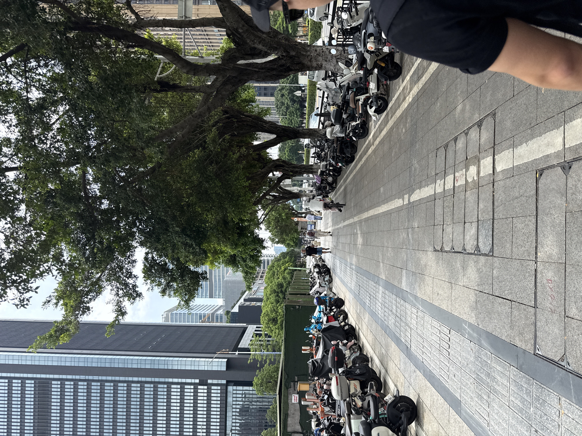 Tracking a walk through Haizhu District's urban streets