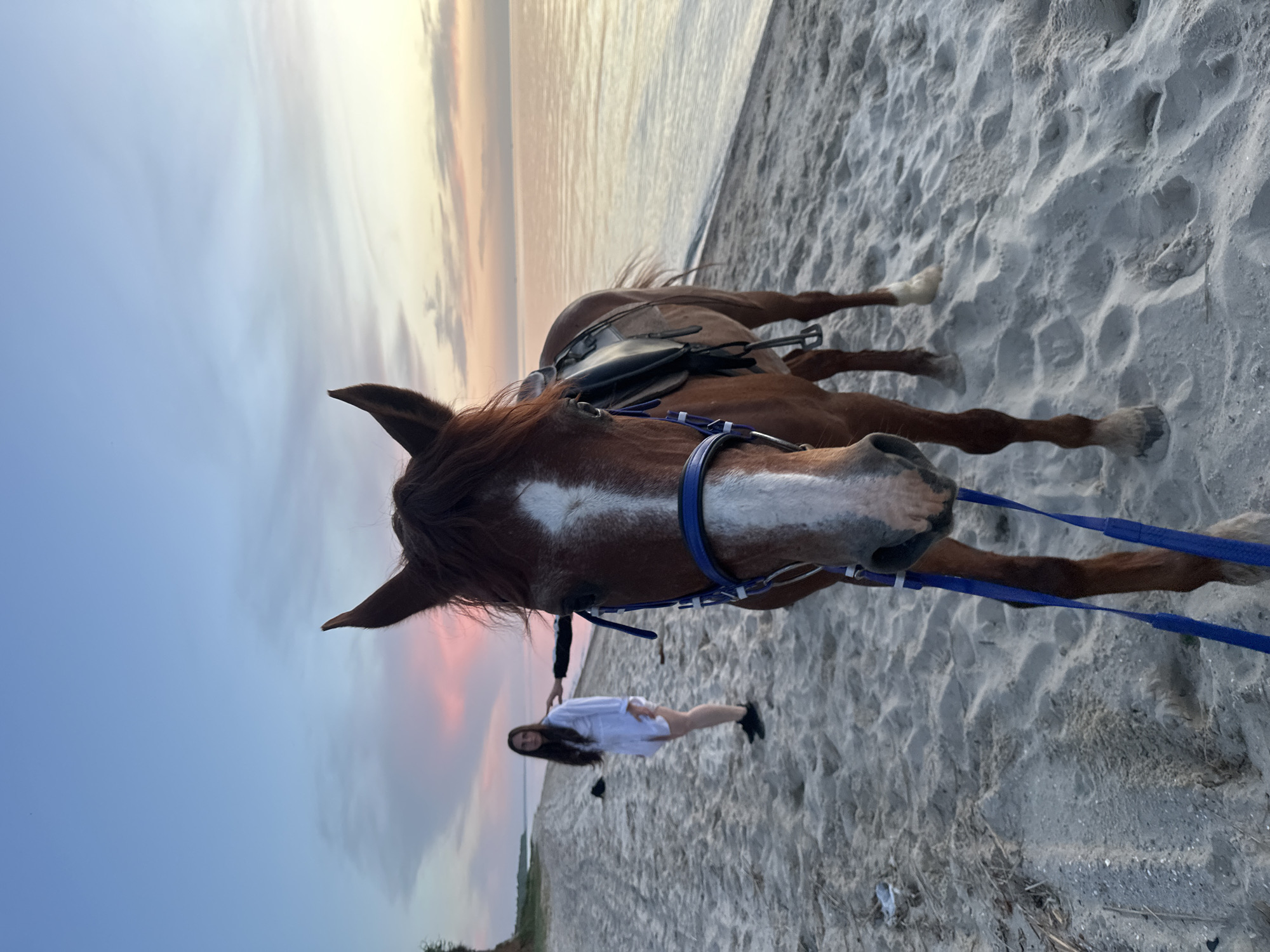 Horses and riders gather on Russian beach