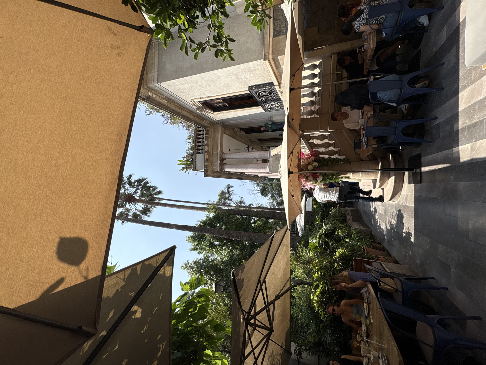 Afternoon dining experience documented at Mexico City's Madre Café