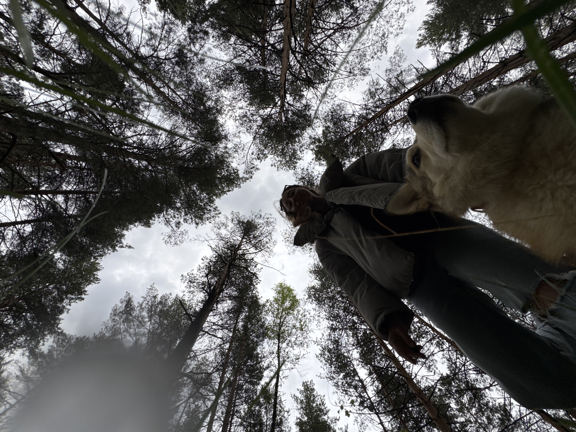 Woman photographs herself in Russian forest during early hours