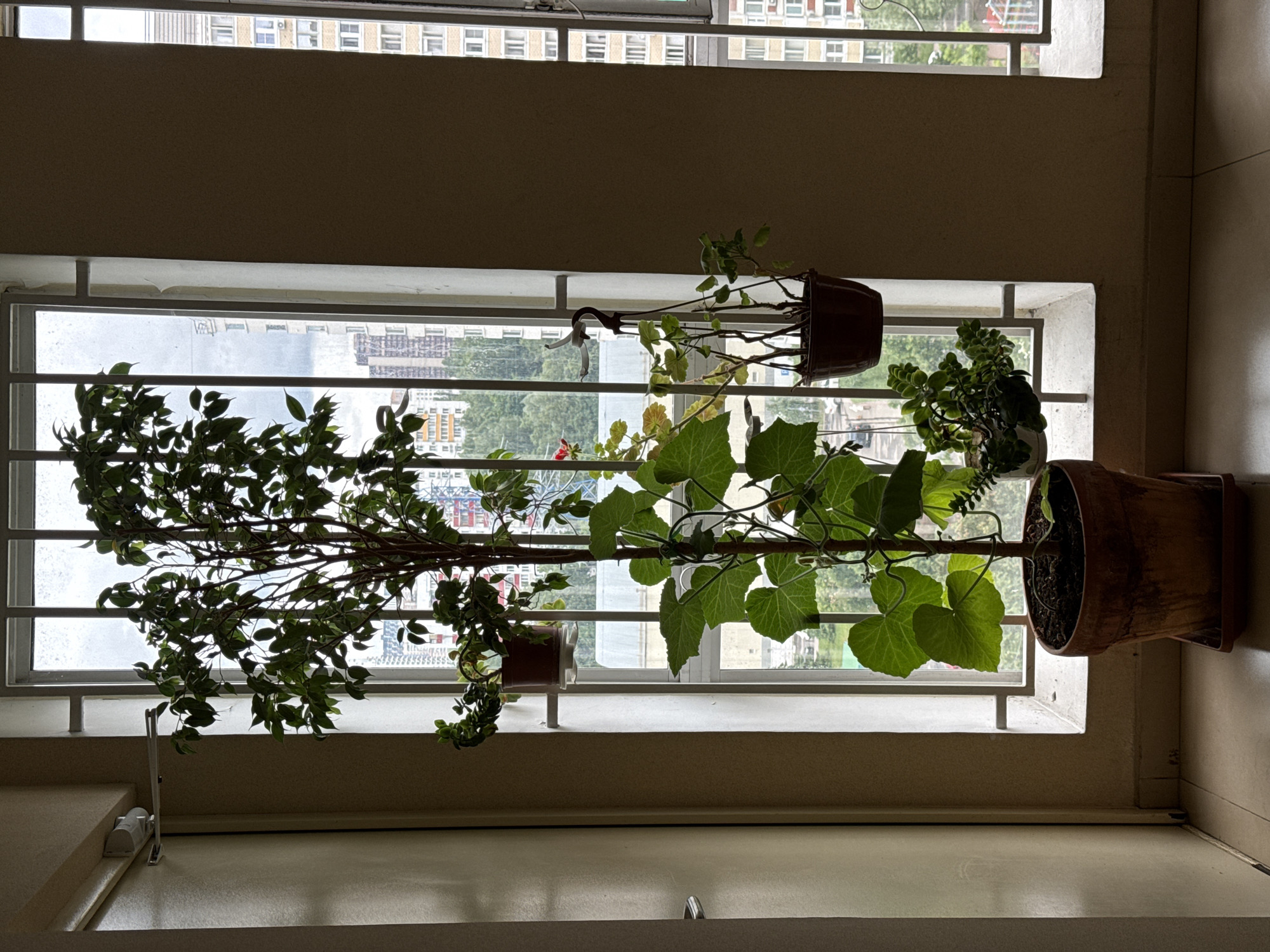 Indoor scenes captured: barred window view, warehouse storage facility