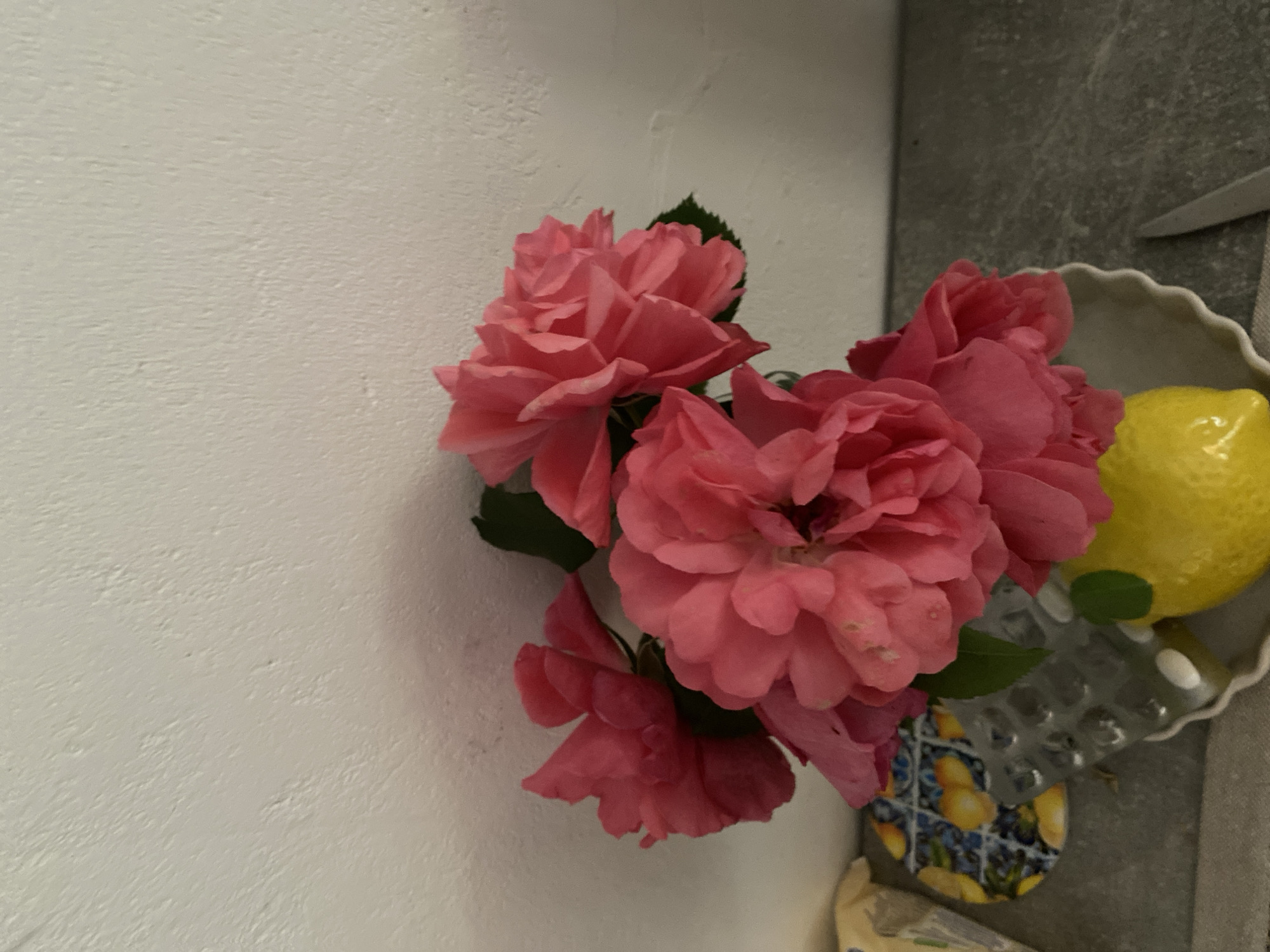 Flowers and a toy car, up close in Lütjenwestedt