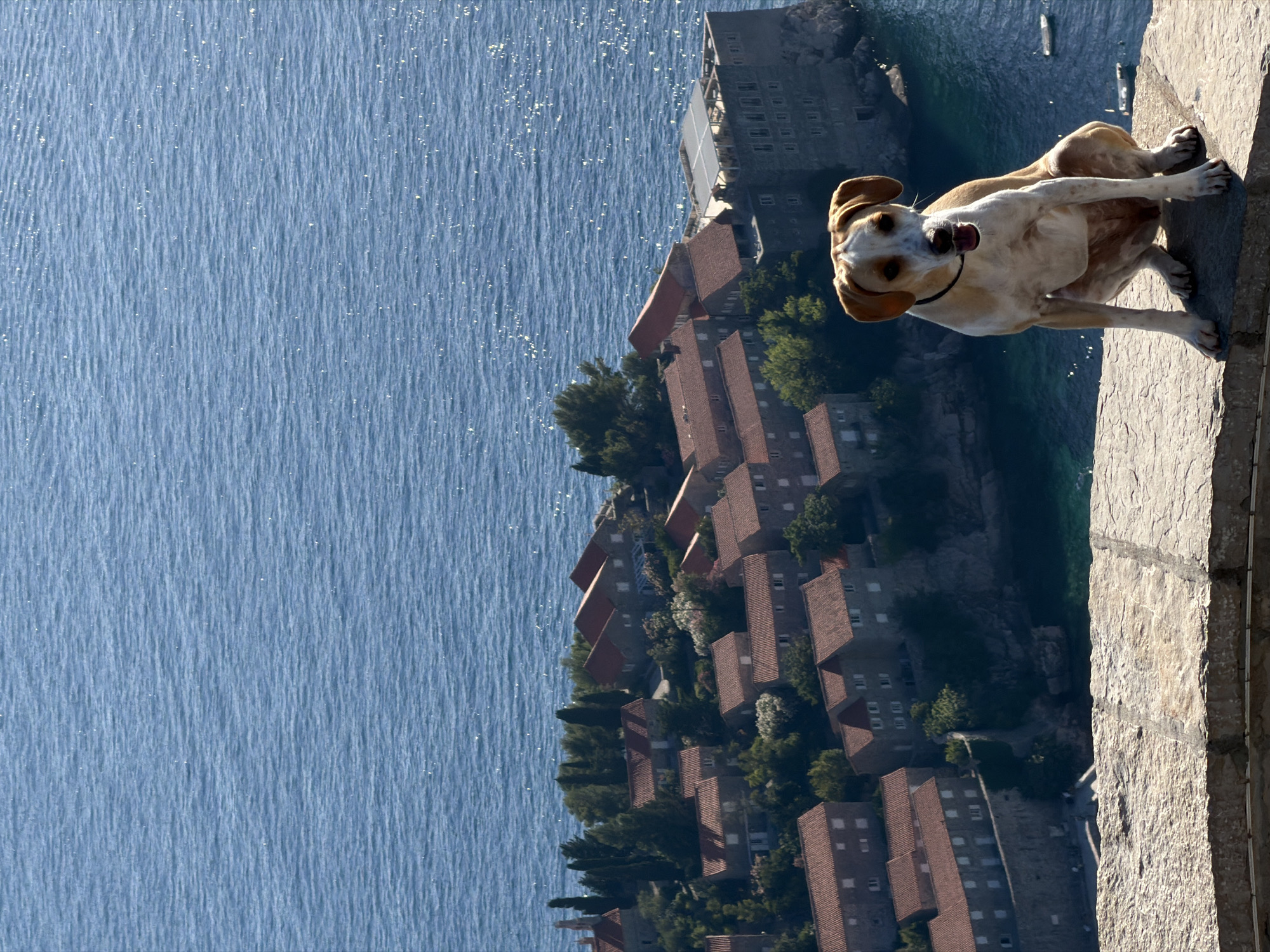 Lazy afternoon on the rocks at Sveti Stefan