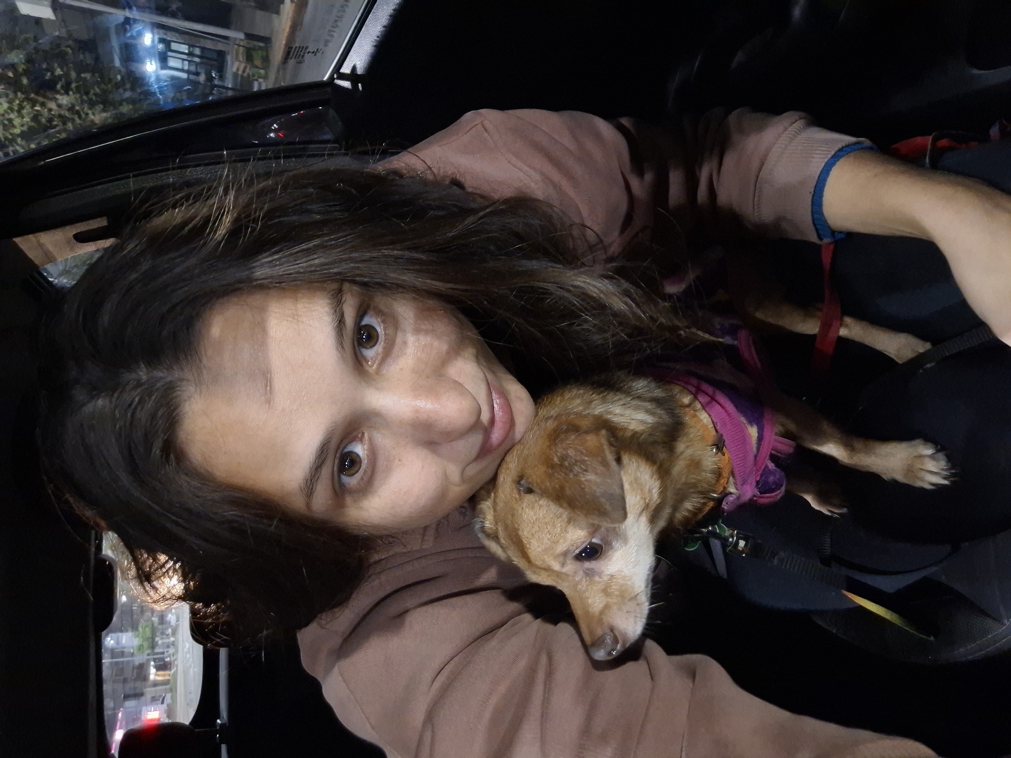 Couple travels with dressed dog through Argentine suburbs