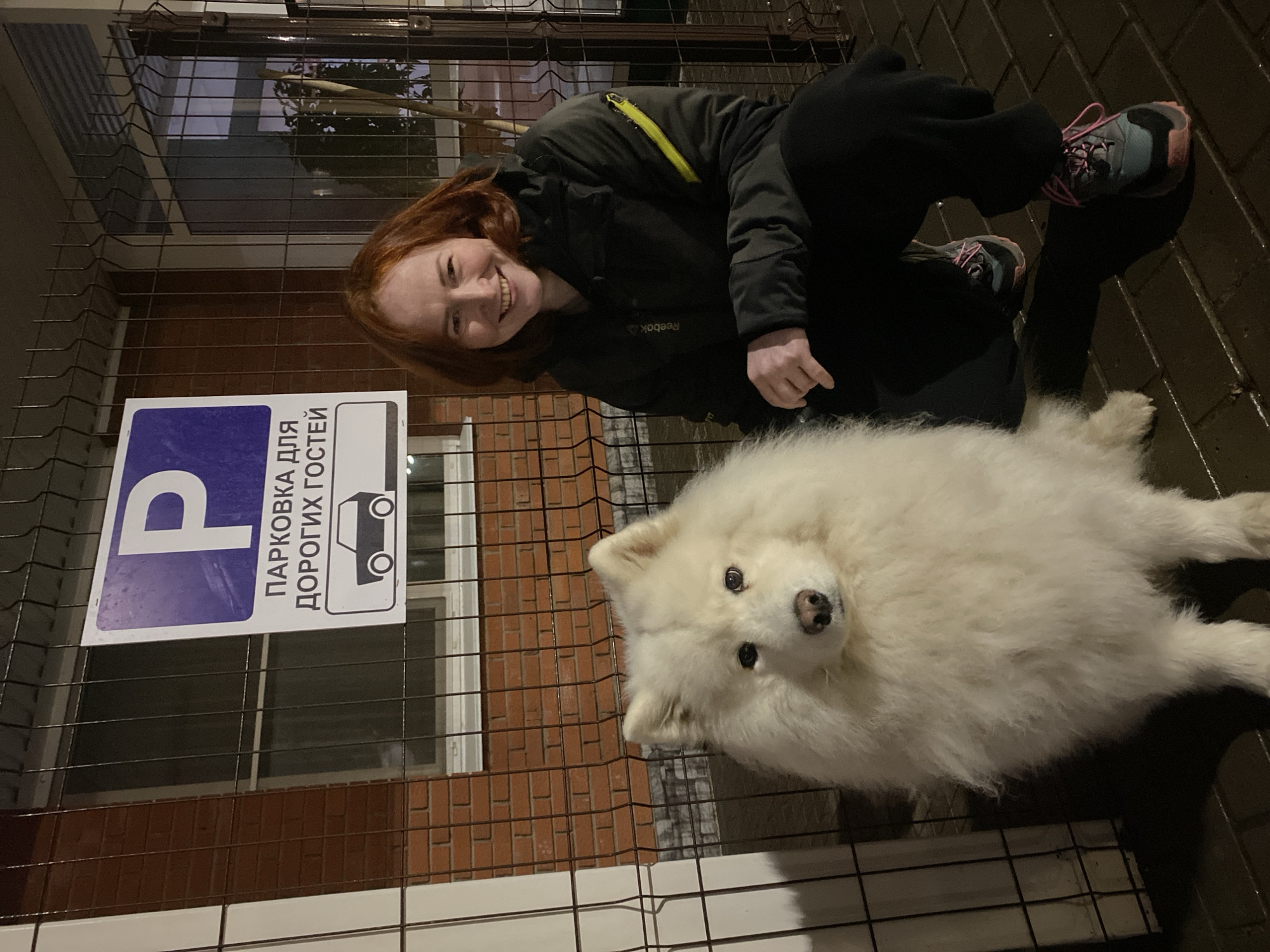 Woman poses with Samoyed dog in Chaikovsky, Russia