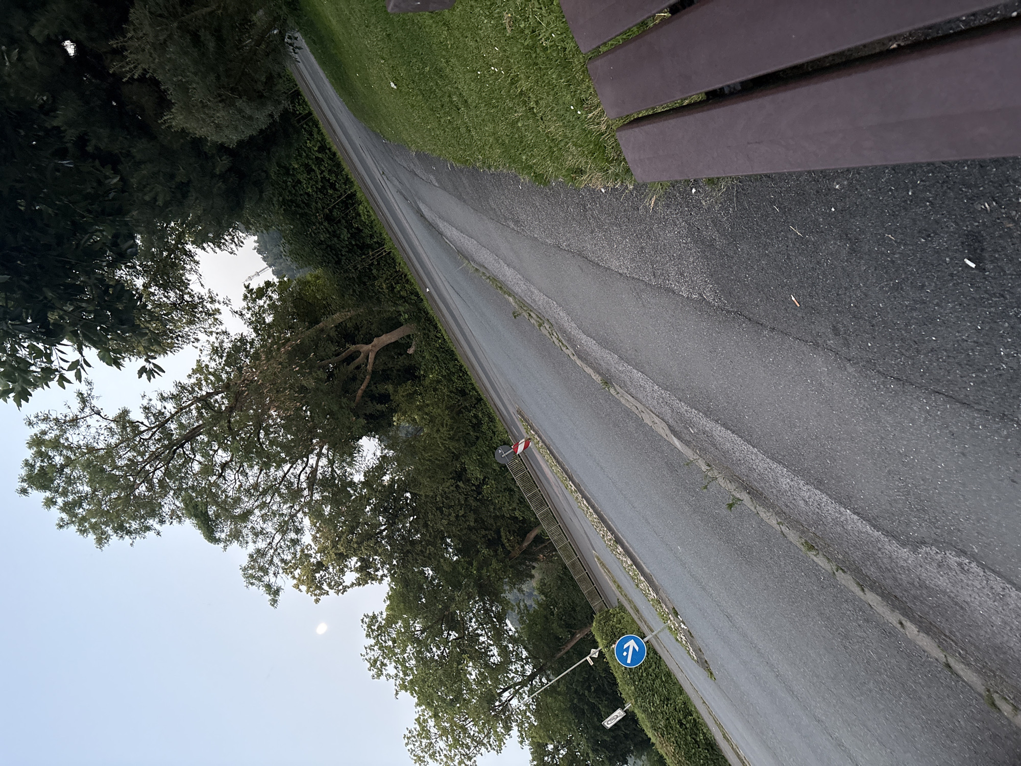 Evening stroll along a park path in Osterode am Harz